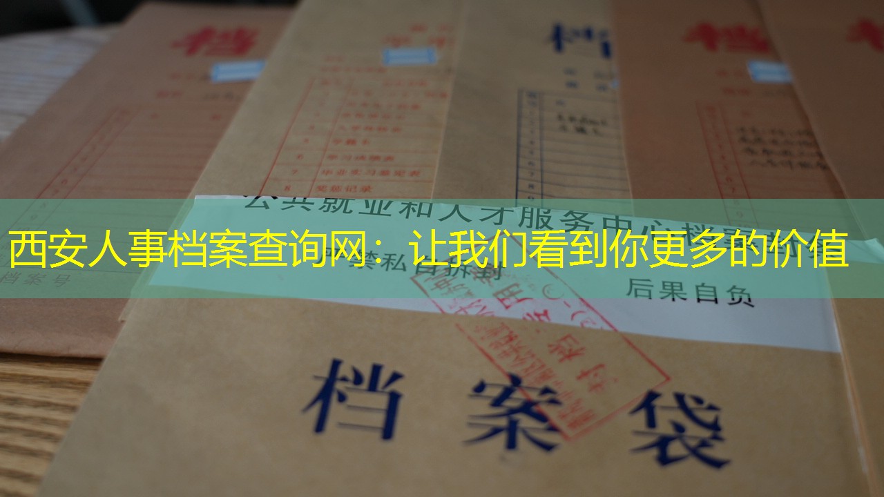 档案查询
