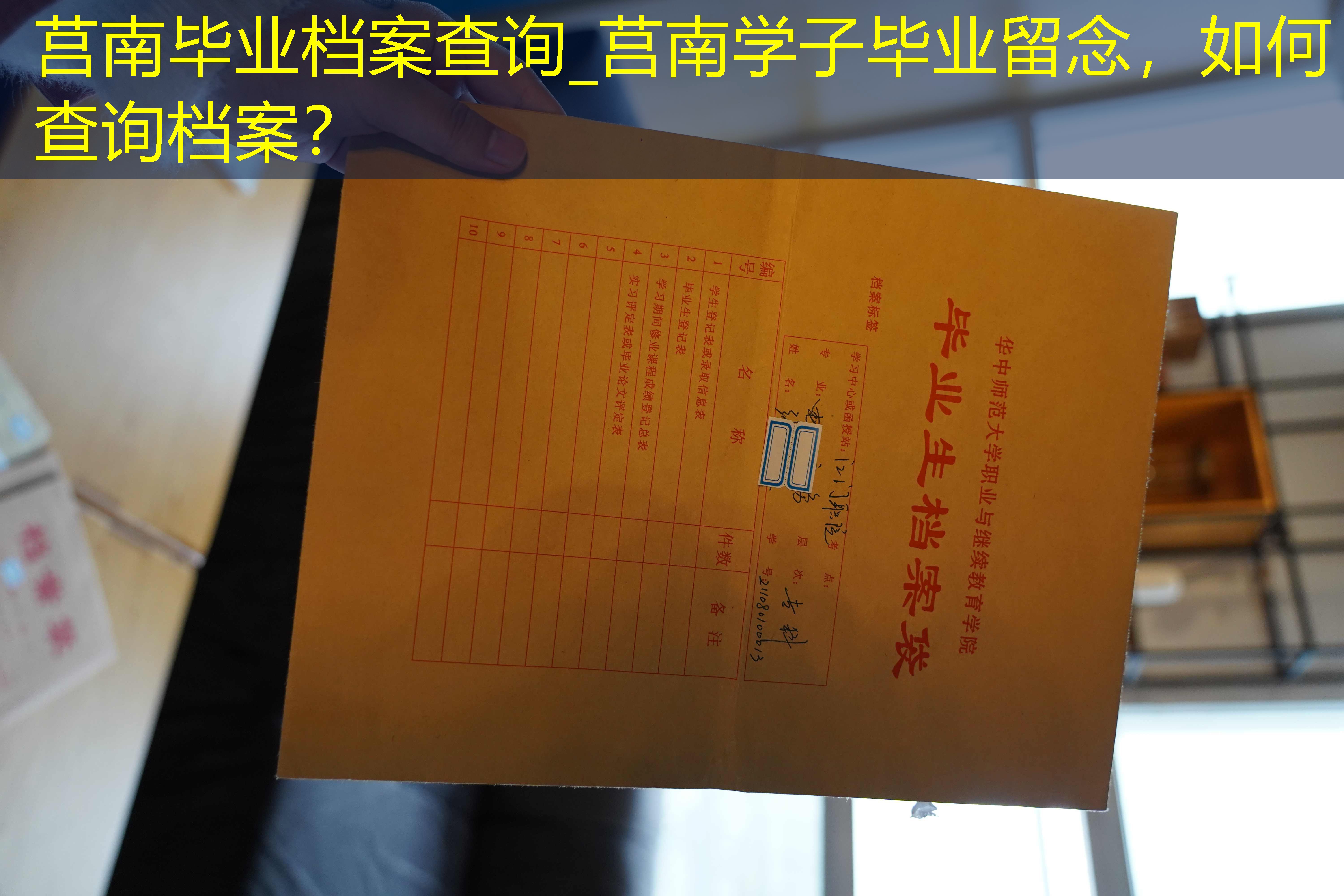 档案查询