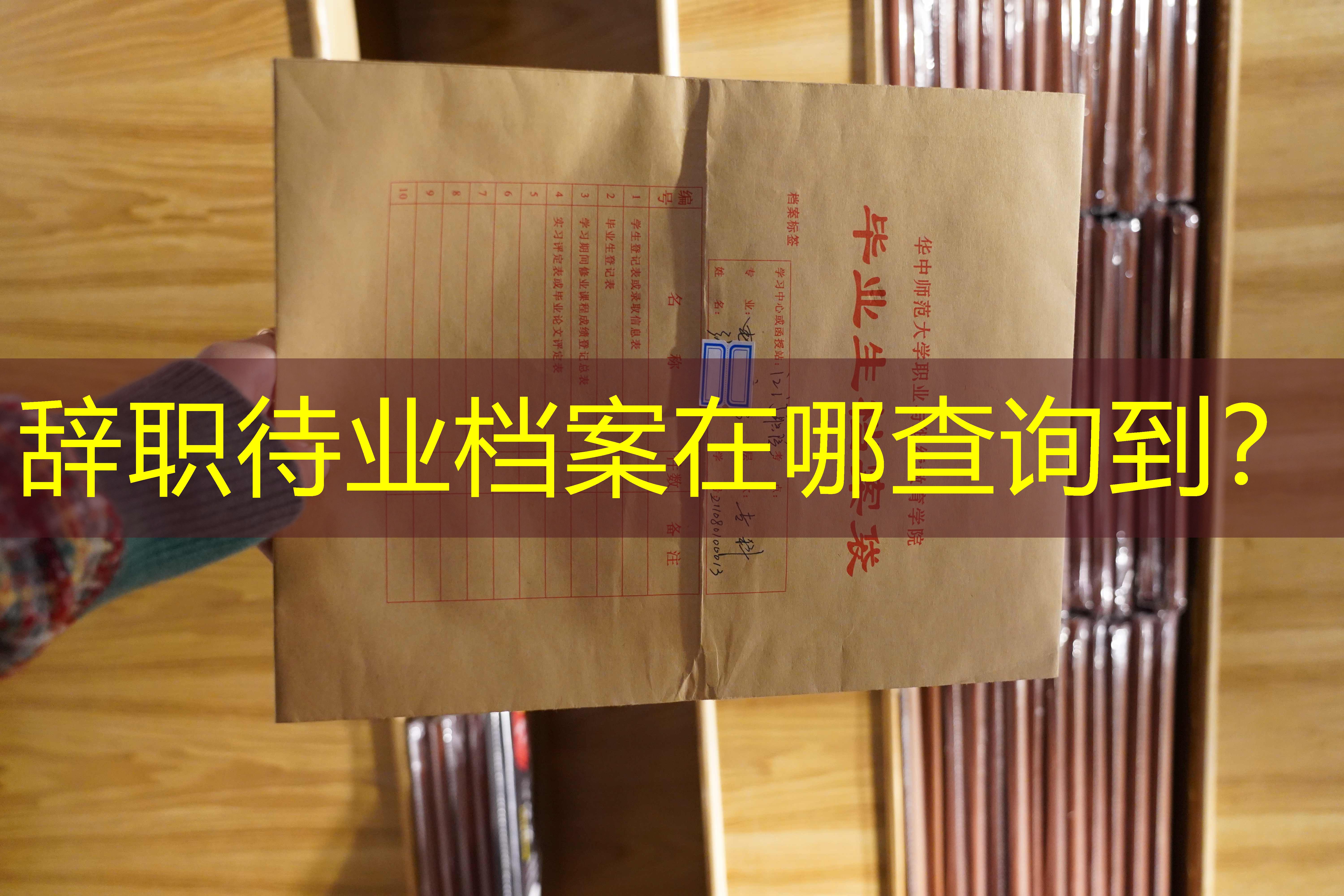 档案查询