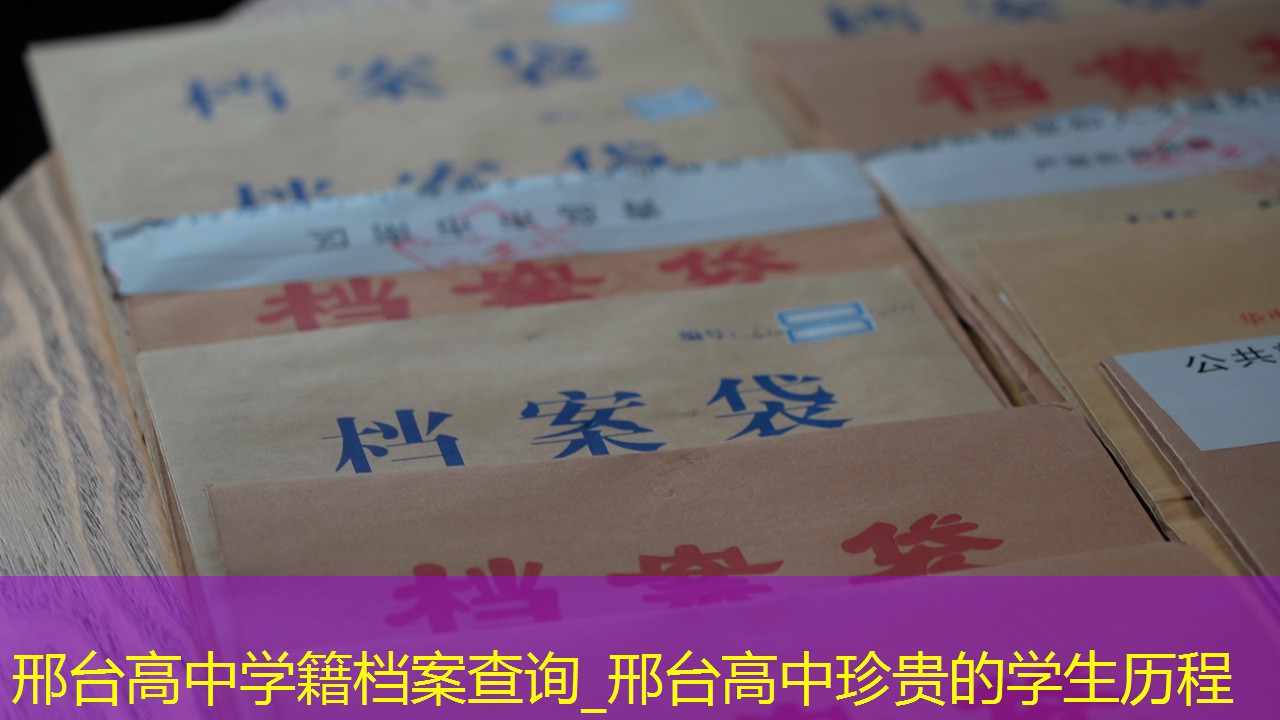 档案查询