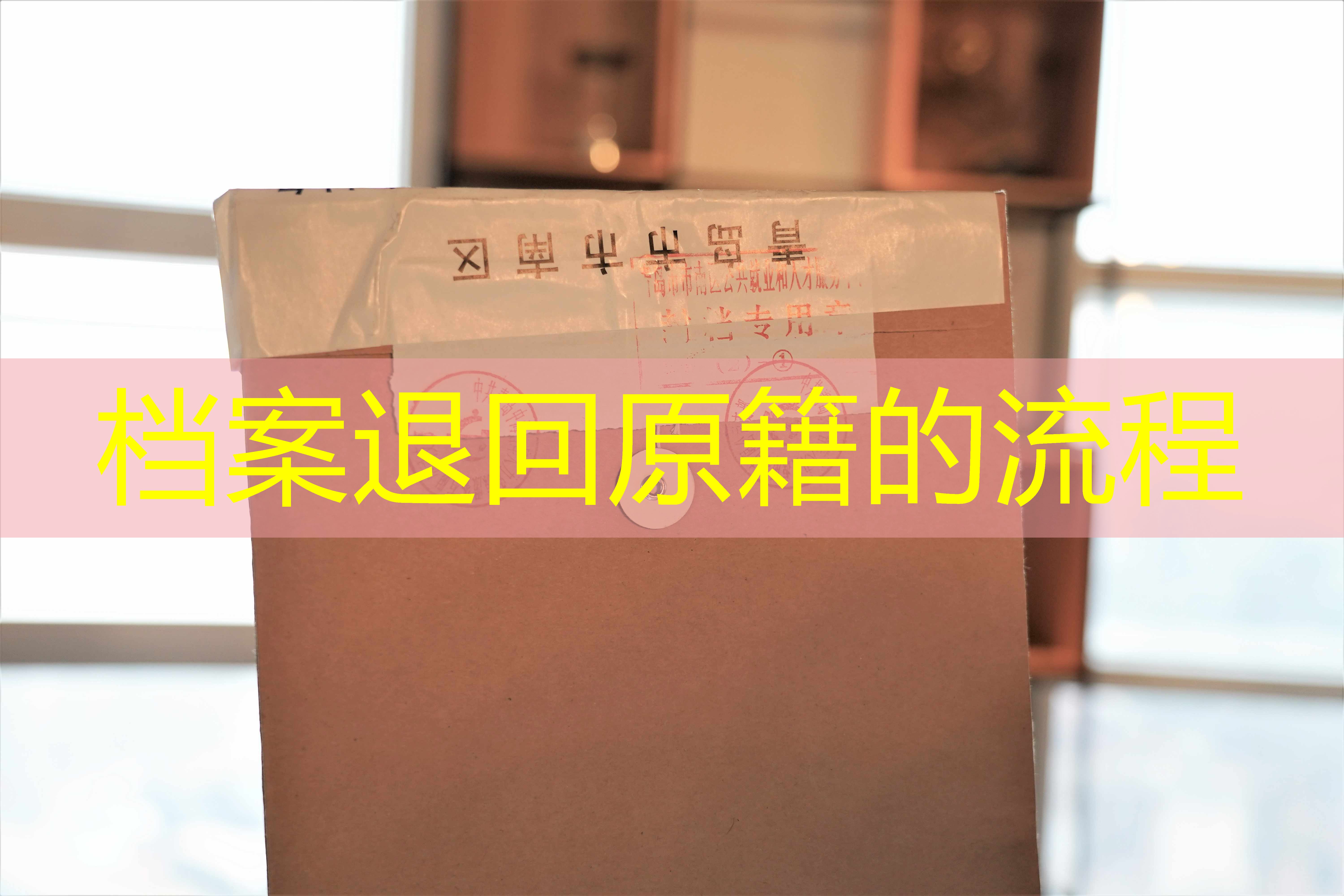 档案查询