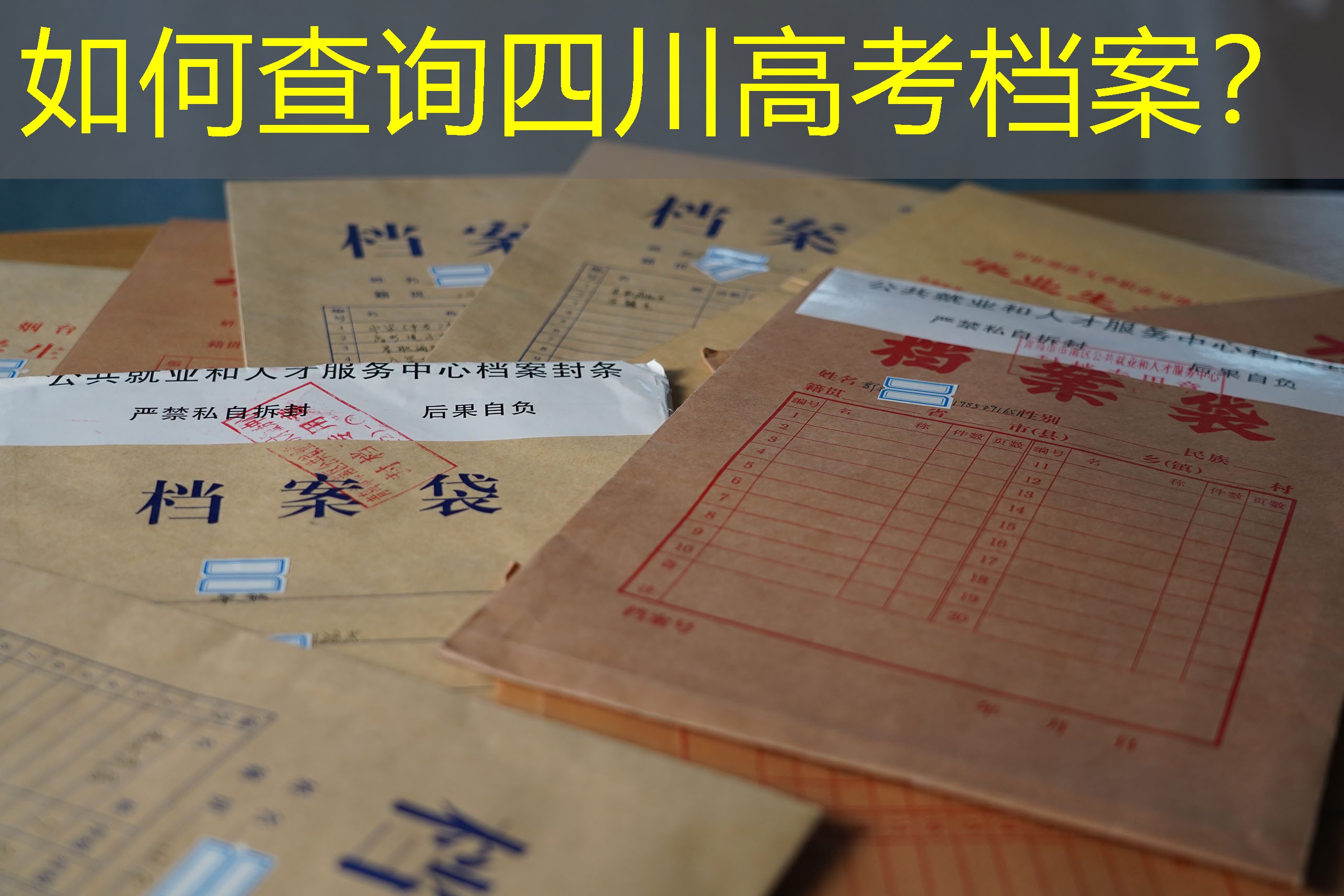 档案查询