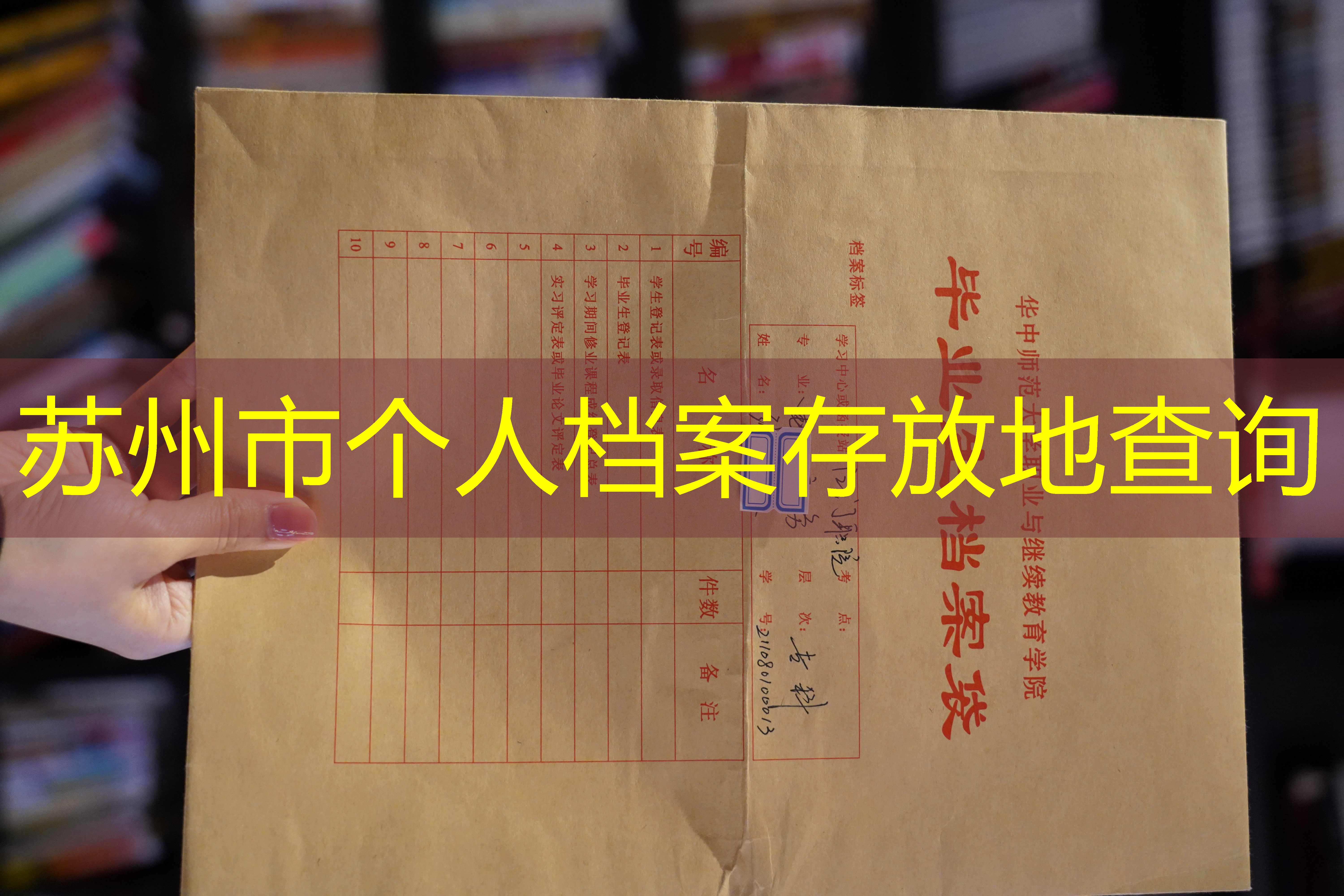 档案查询