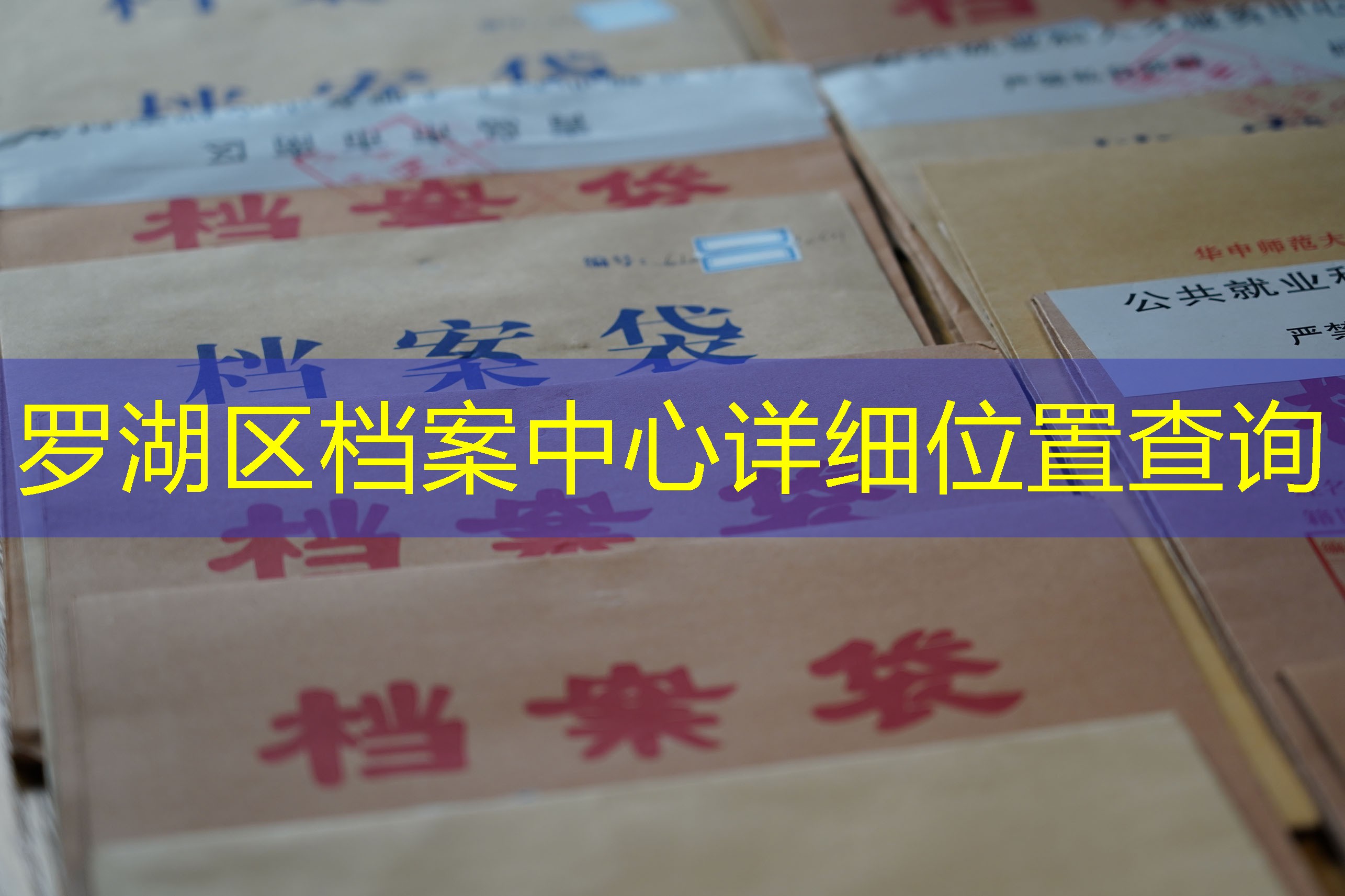 档案查询
