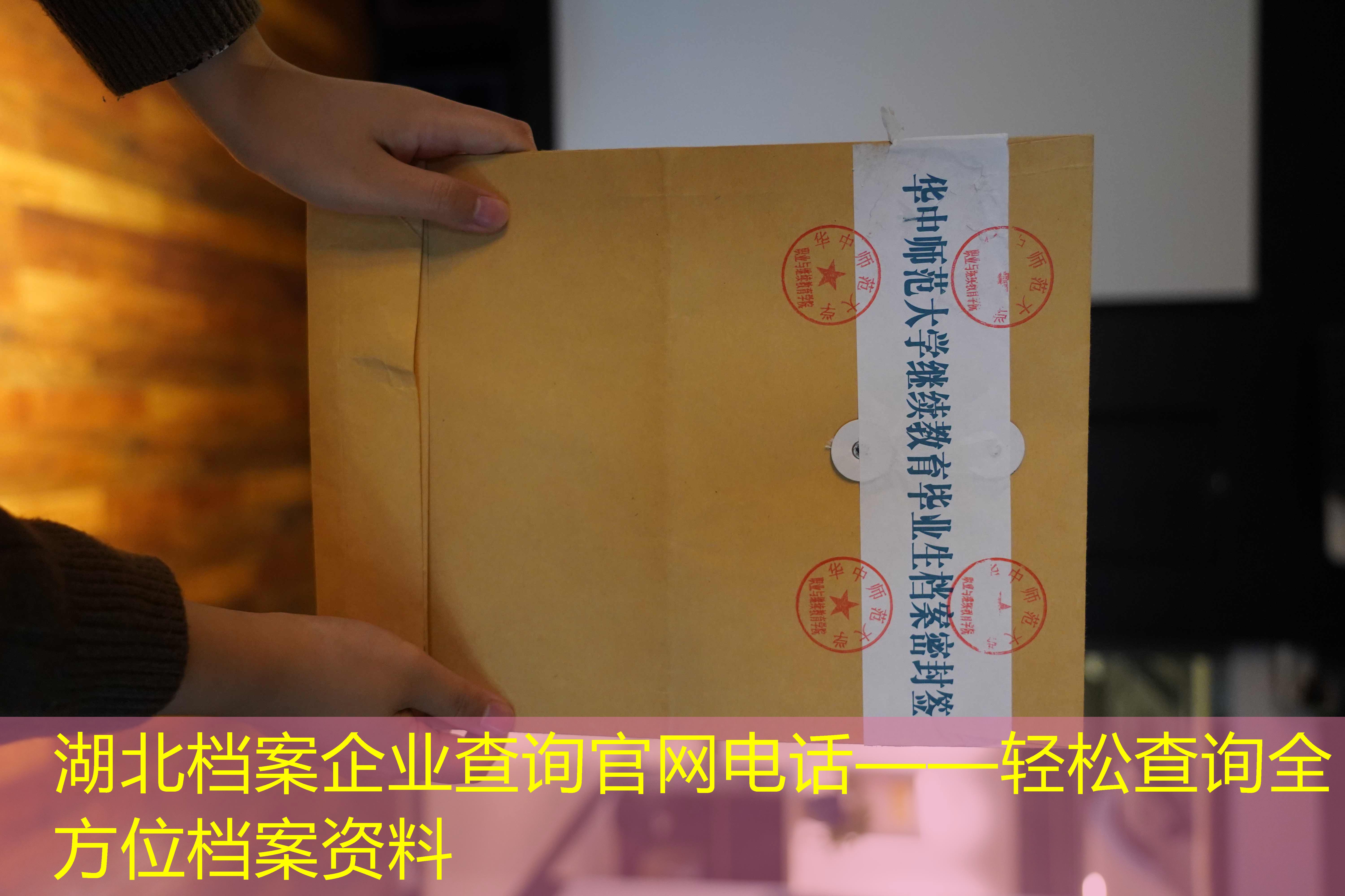 档案查询