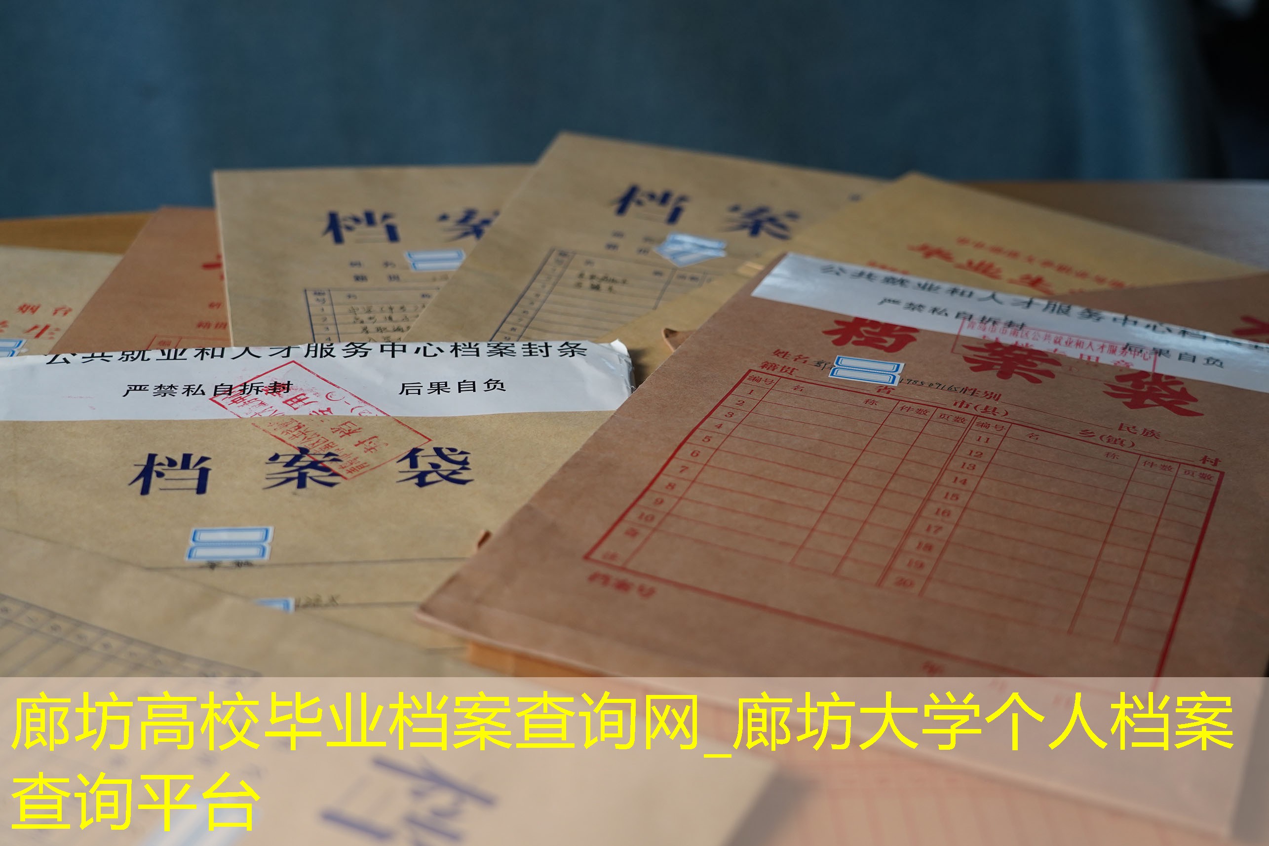 档案查询