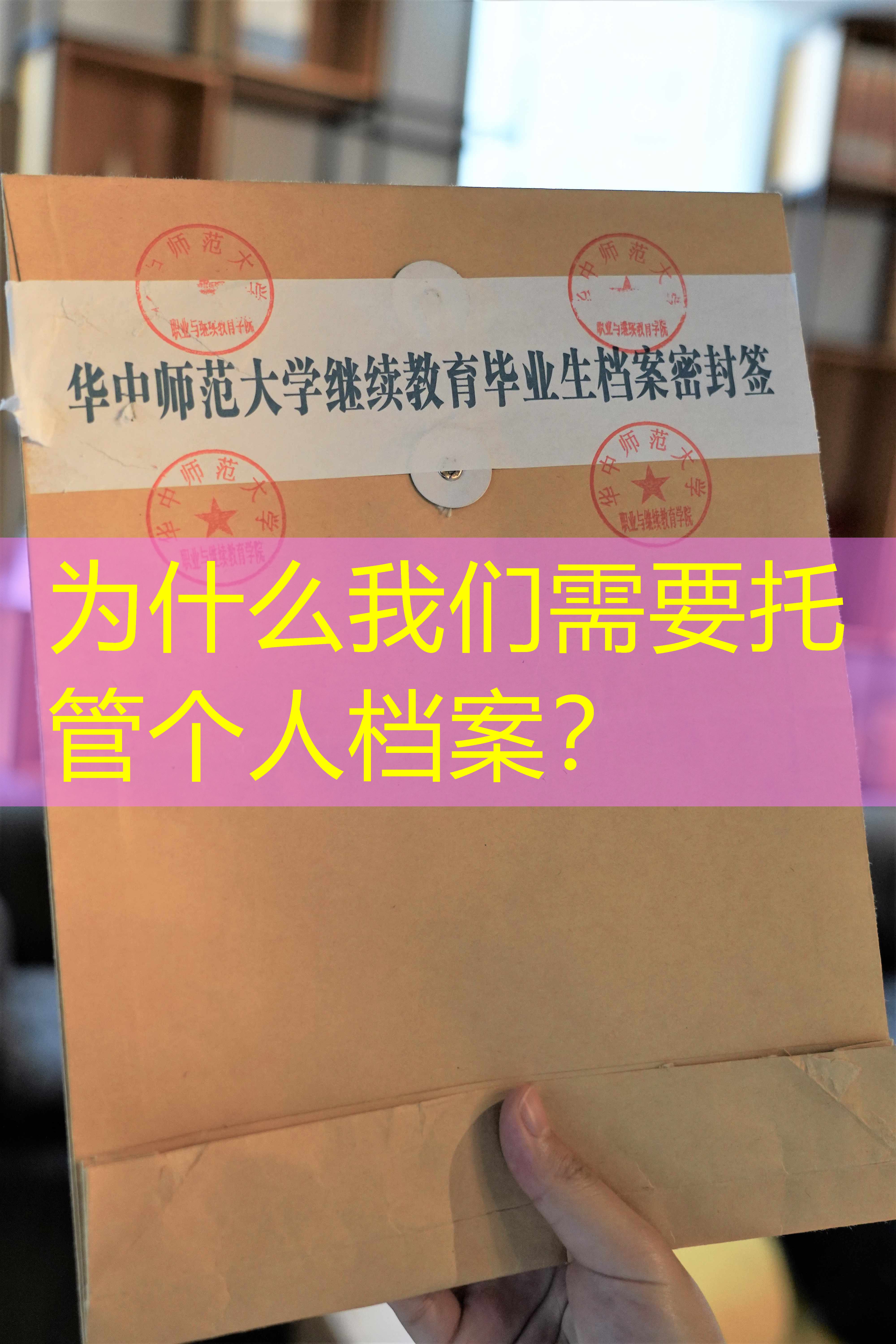 档案查询