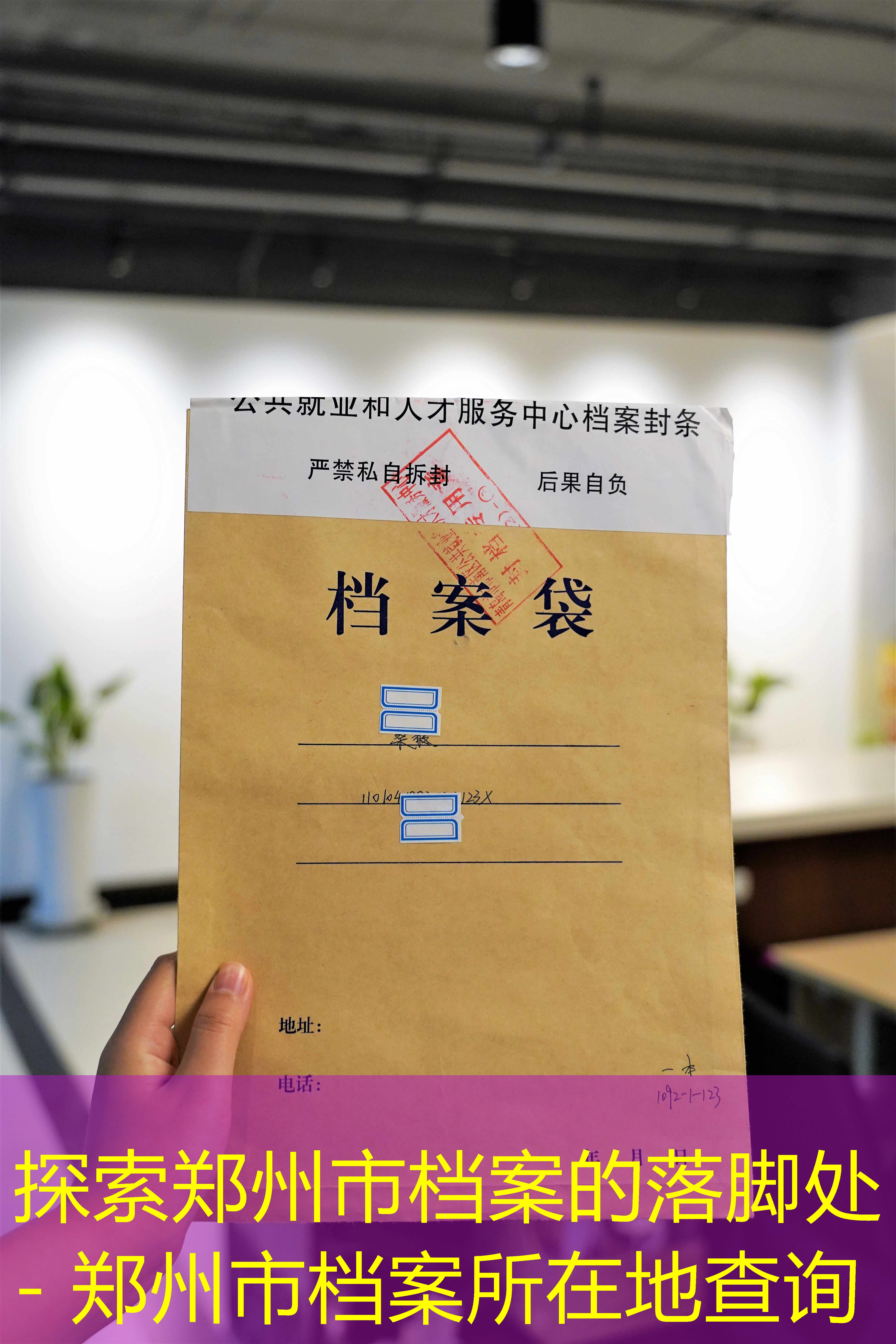 档案查询