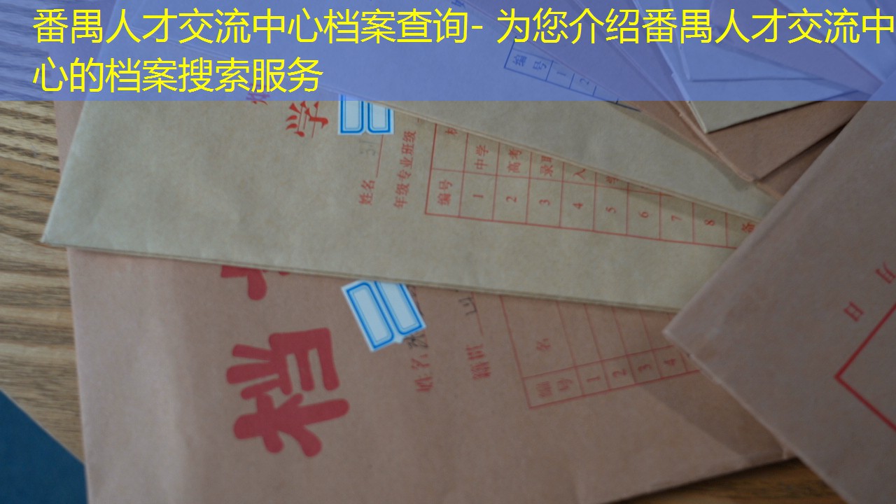 档案查询