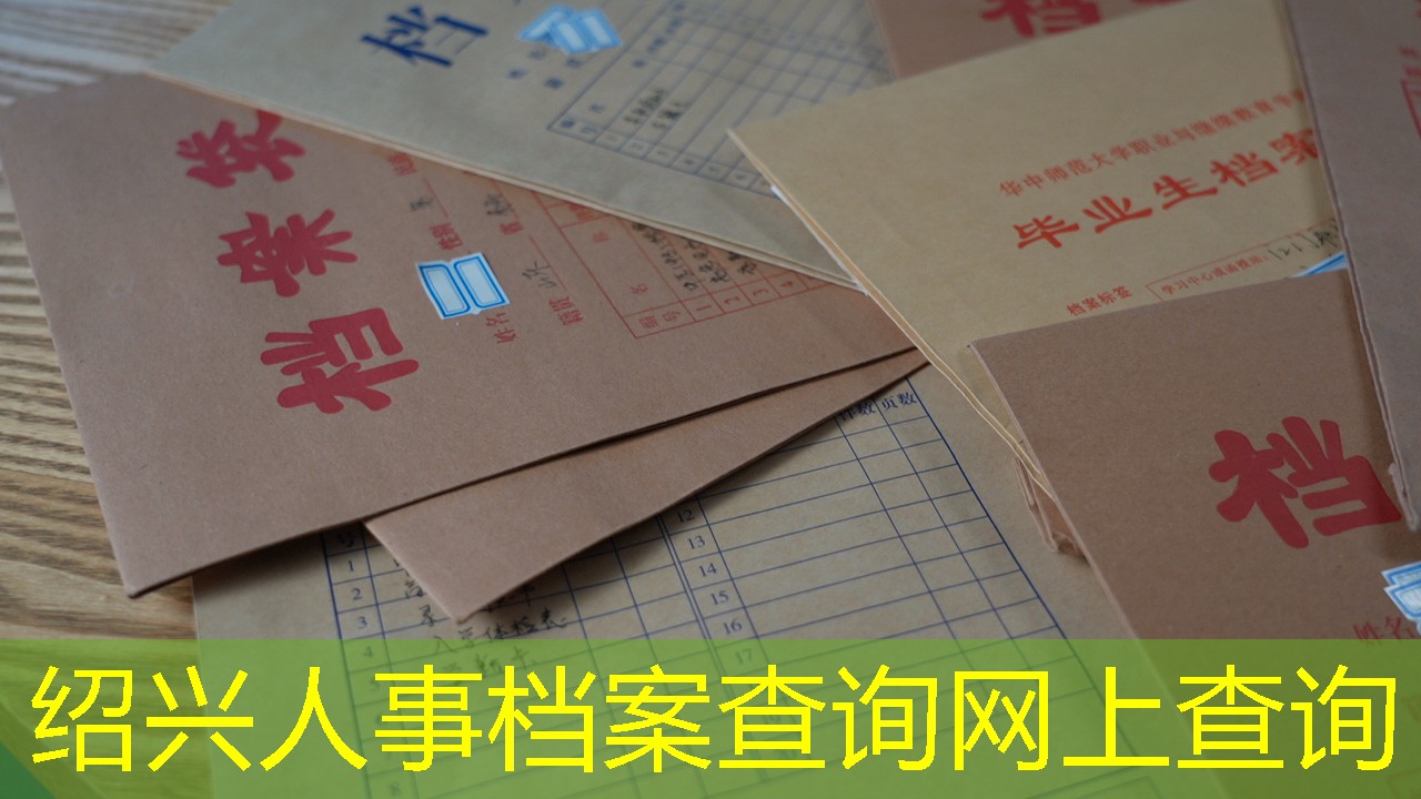 档案查询