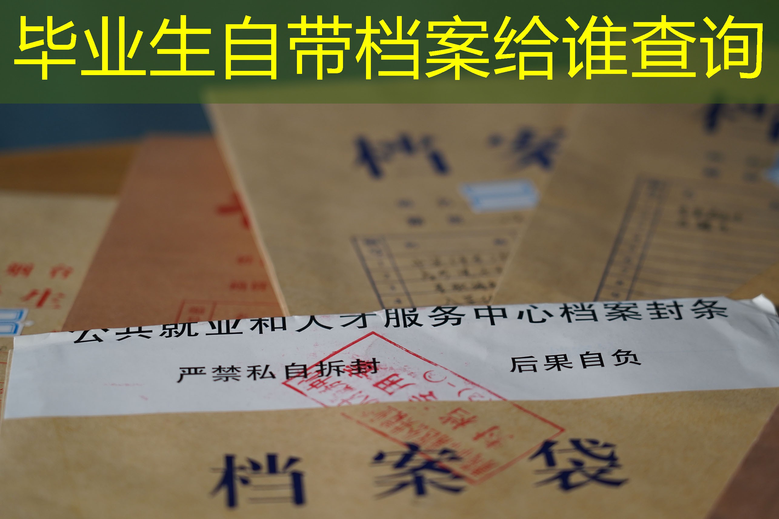 档案查询