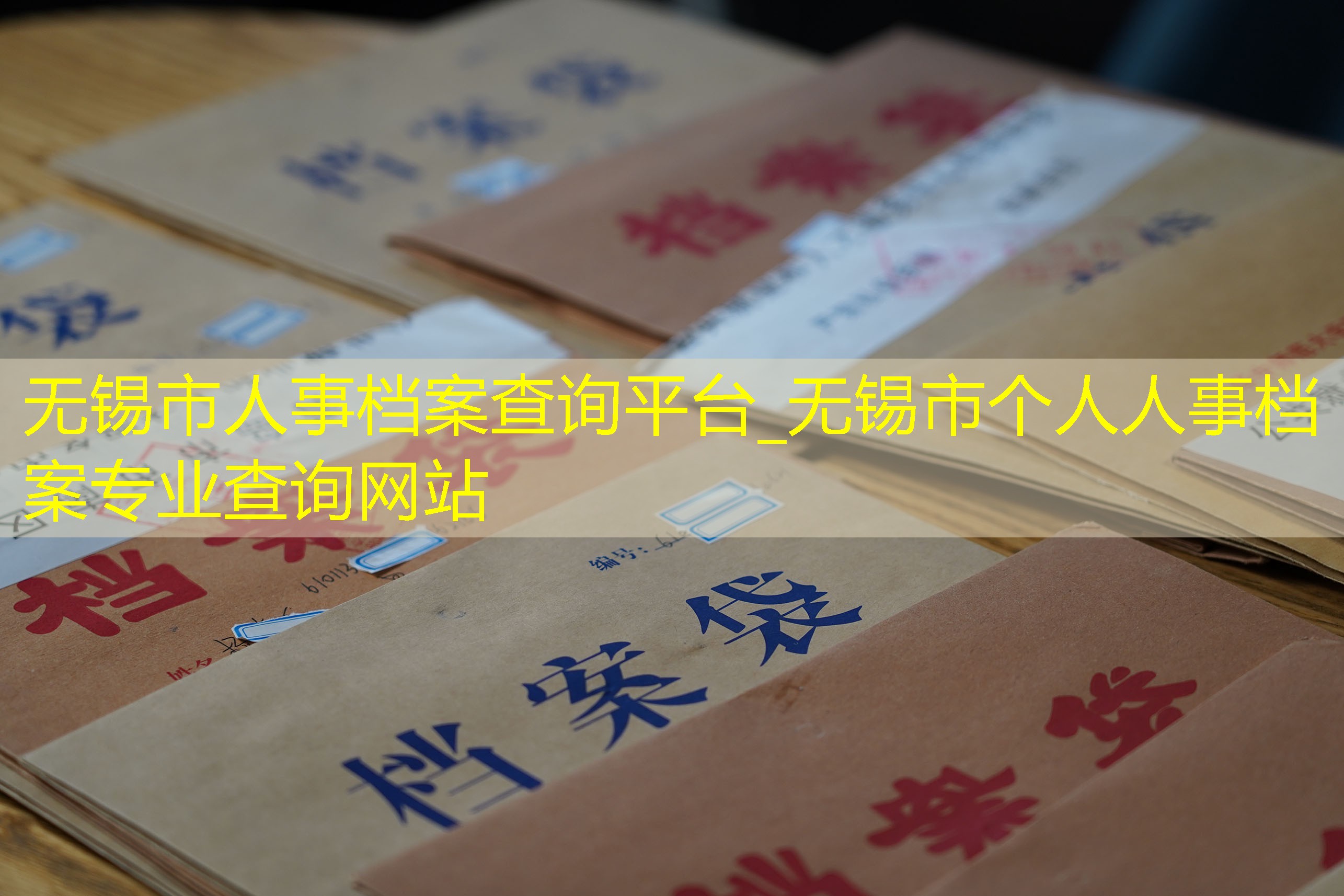 档案查询