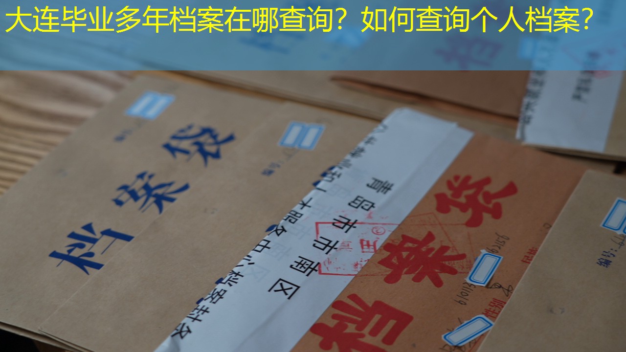 档案查询