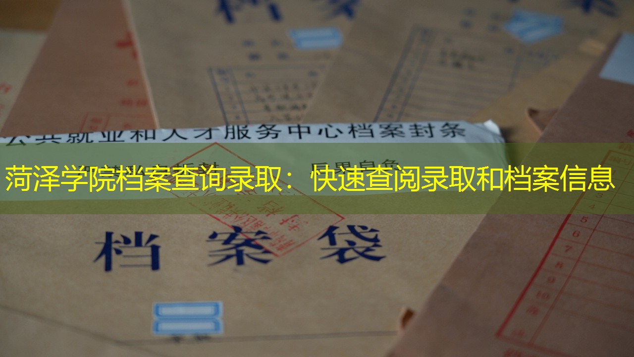 档案查询