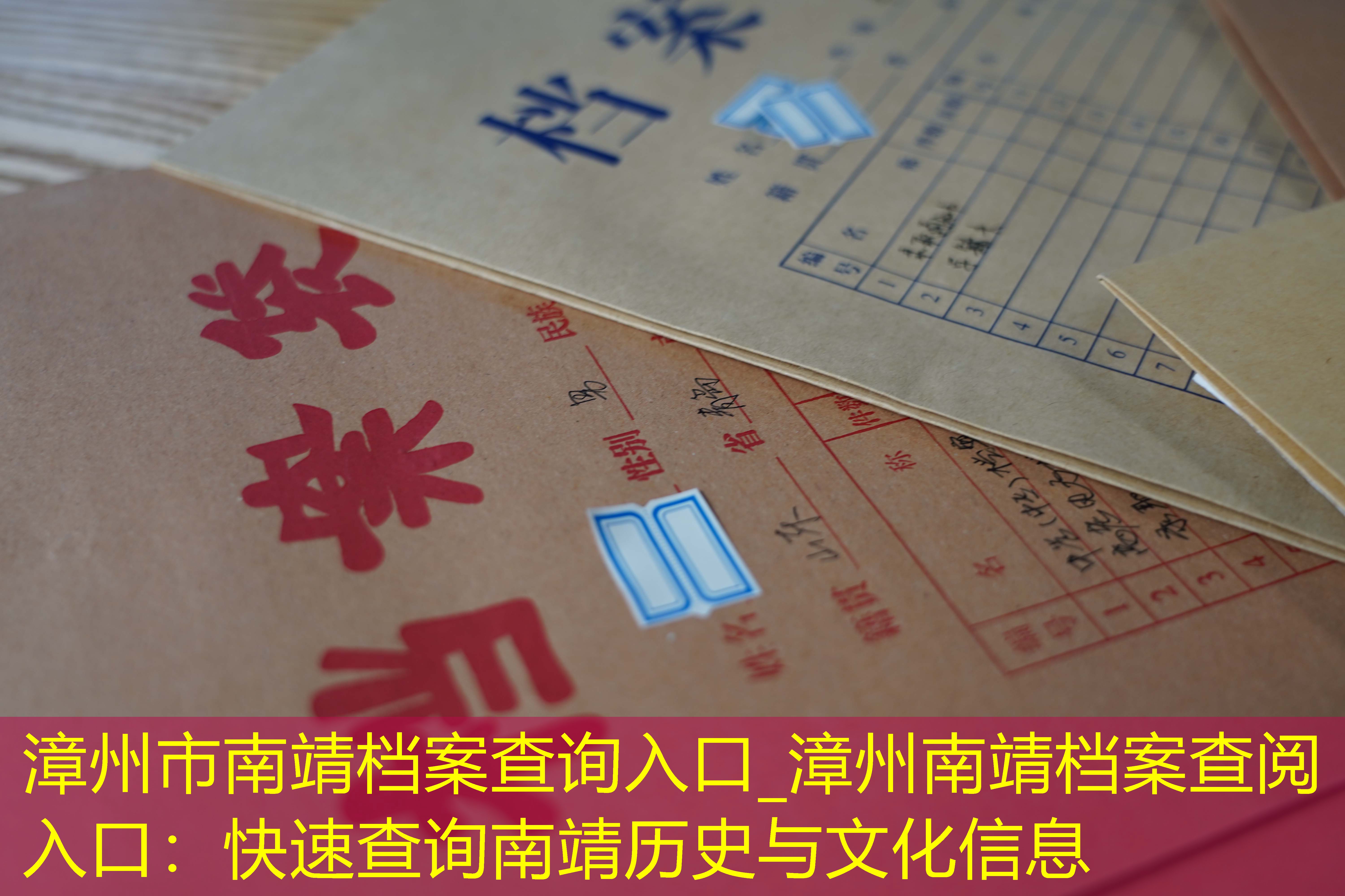 档案查询