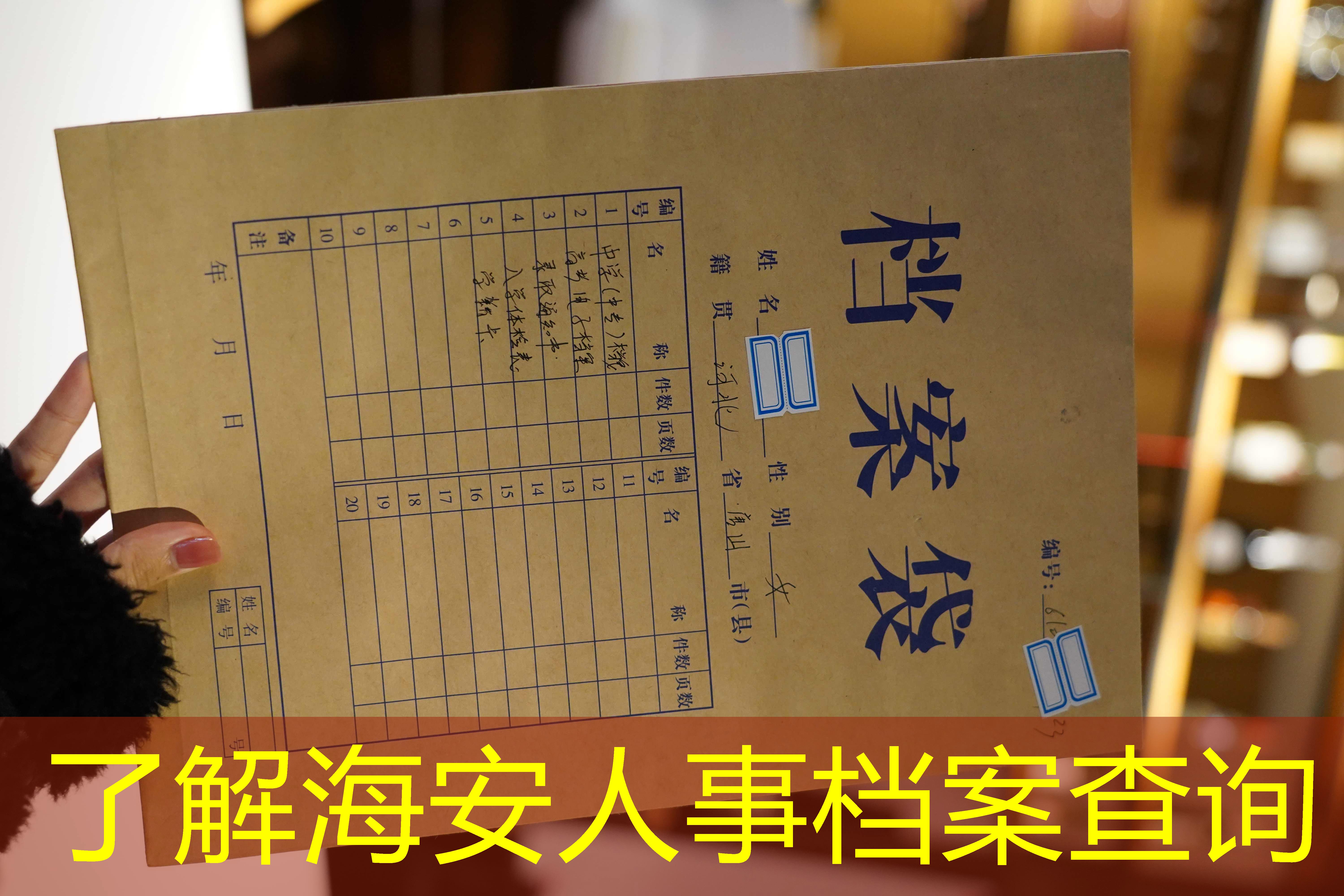档案查询