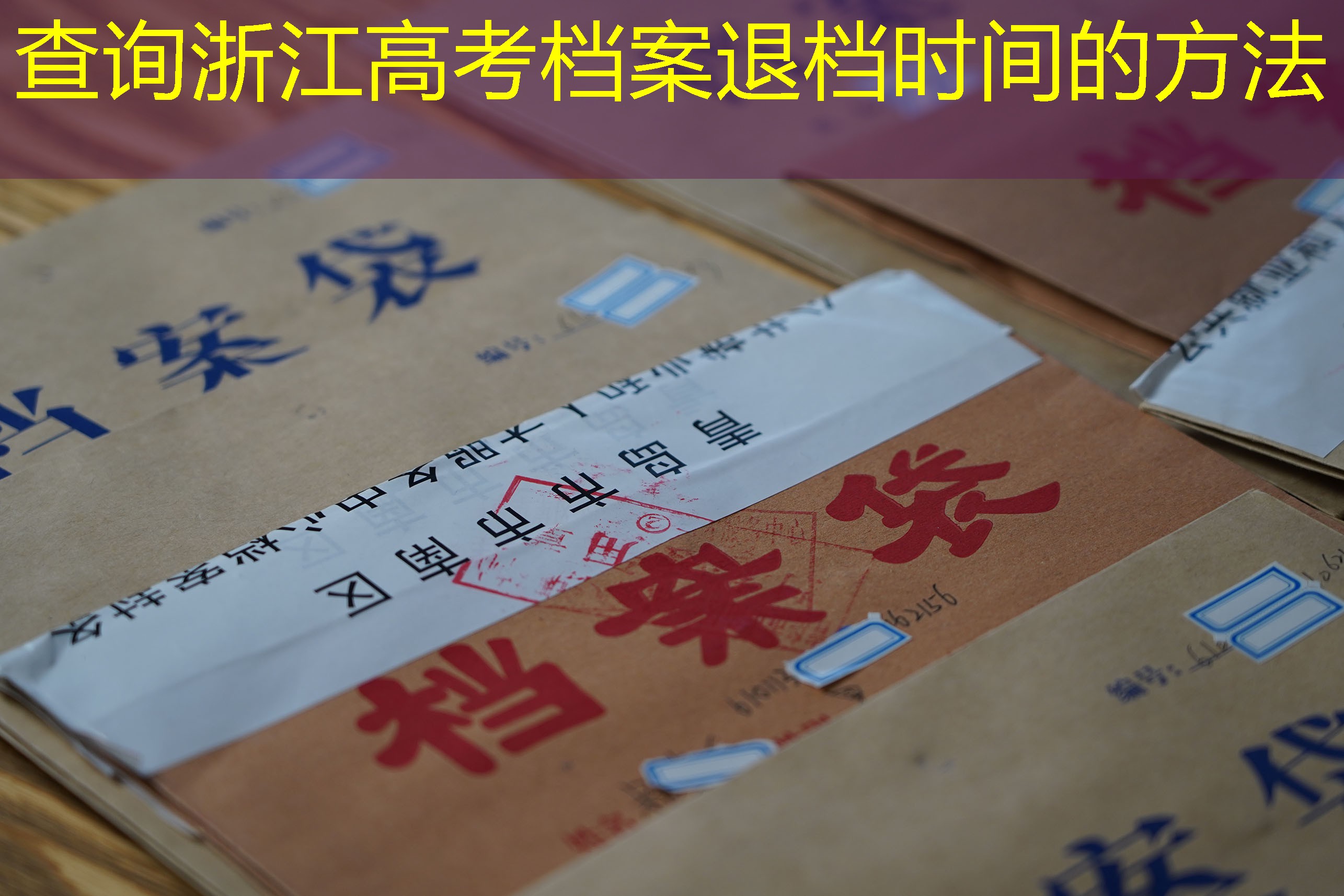 档案查询