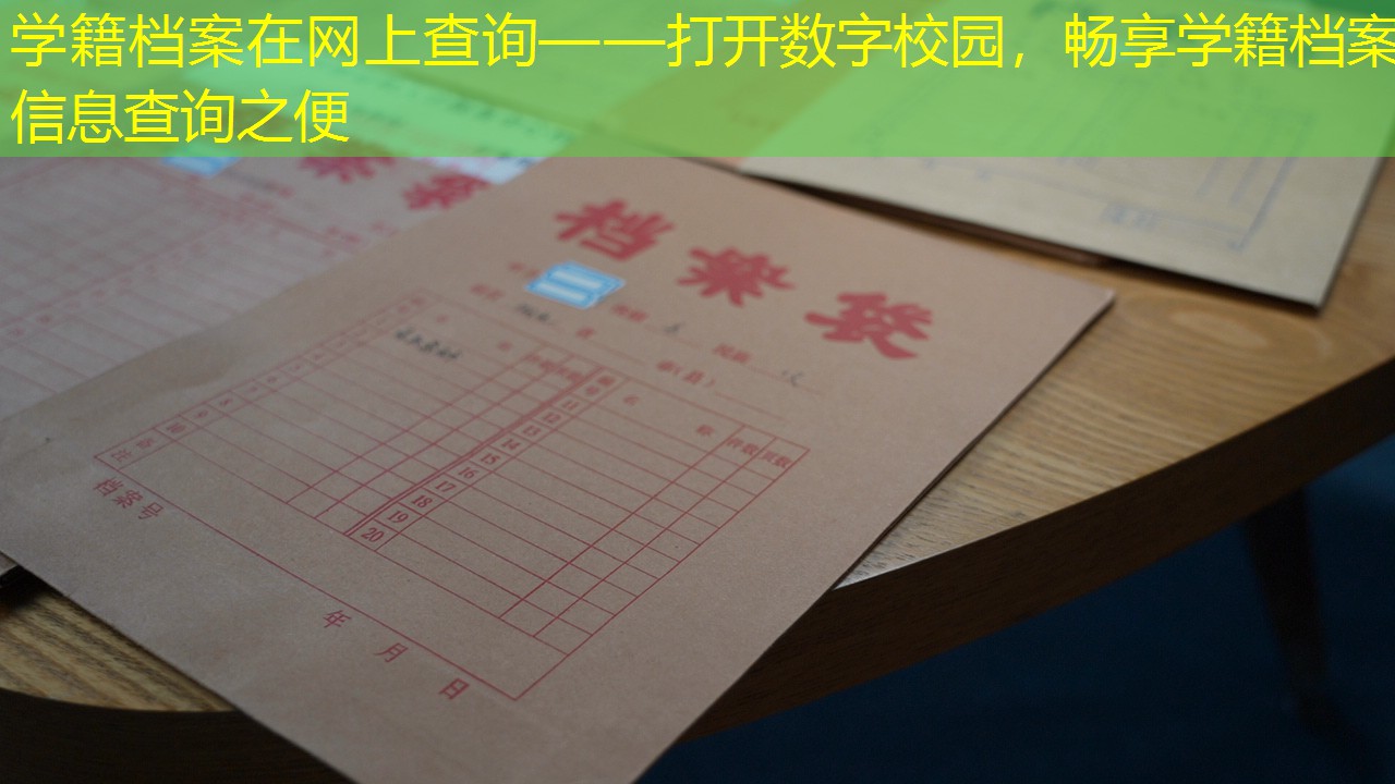 档案查询
