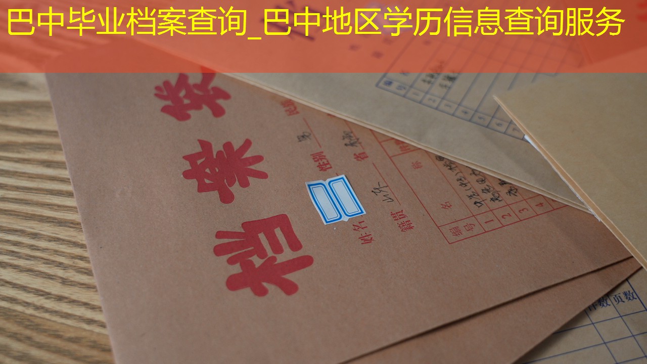 档案查询