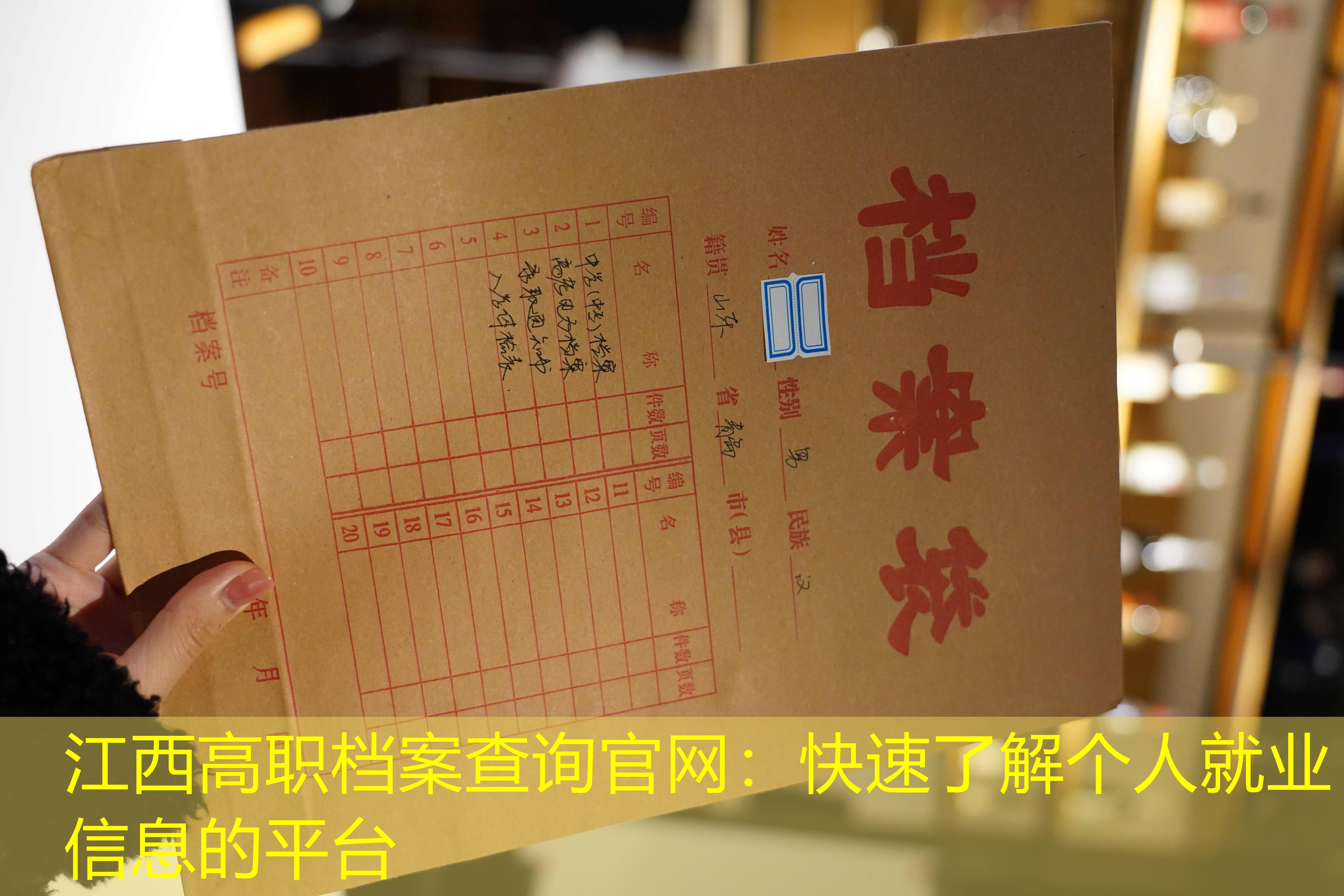 档案查询