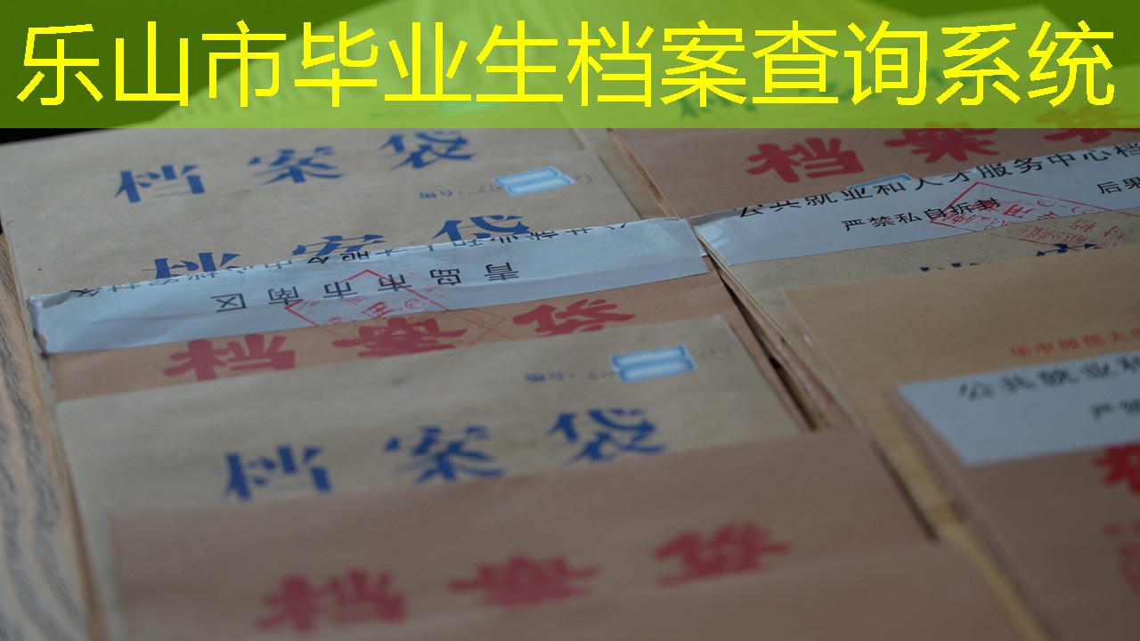 档案查询