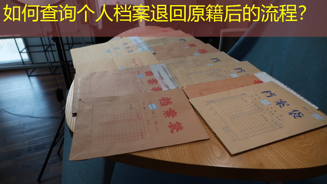 档案查询