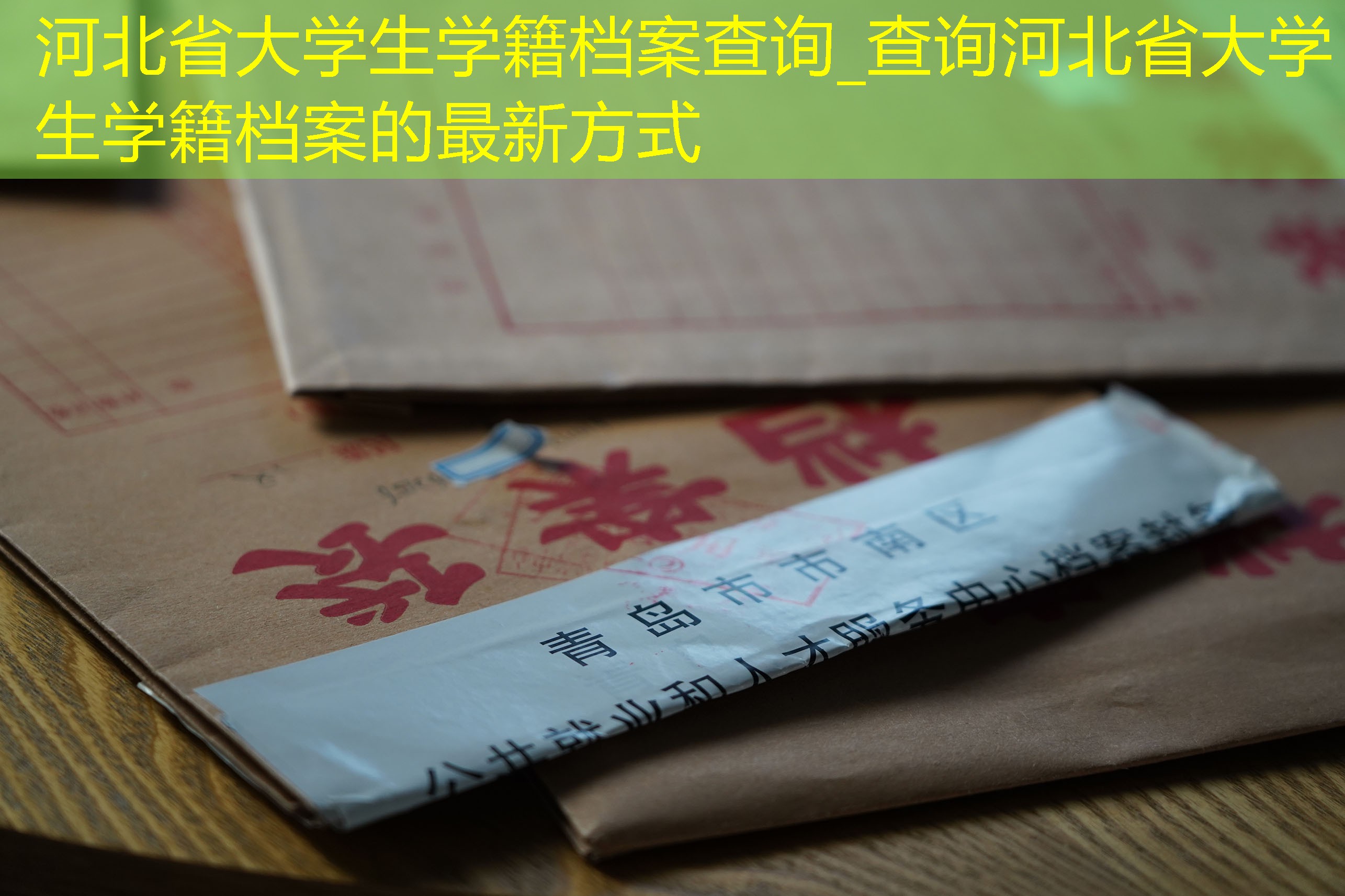 档案查询