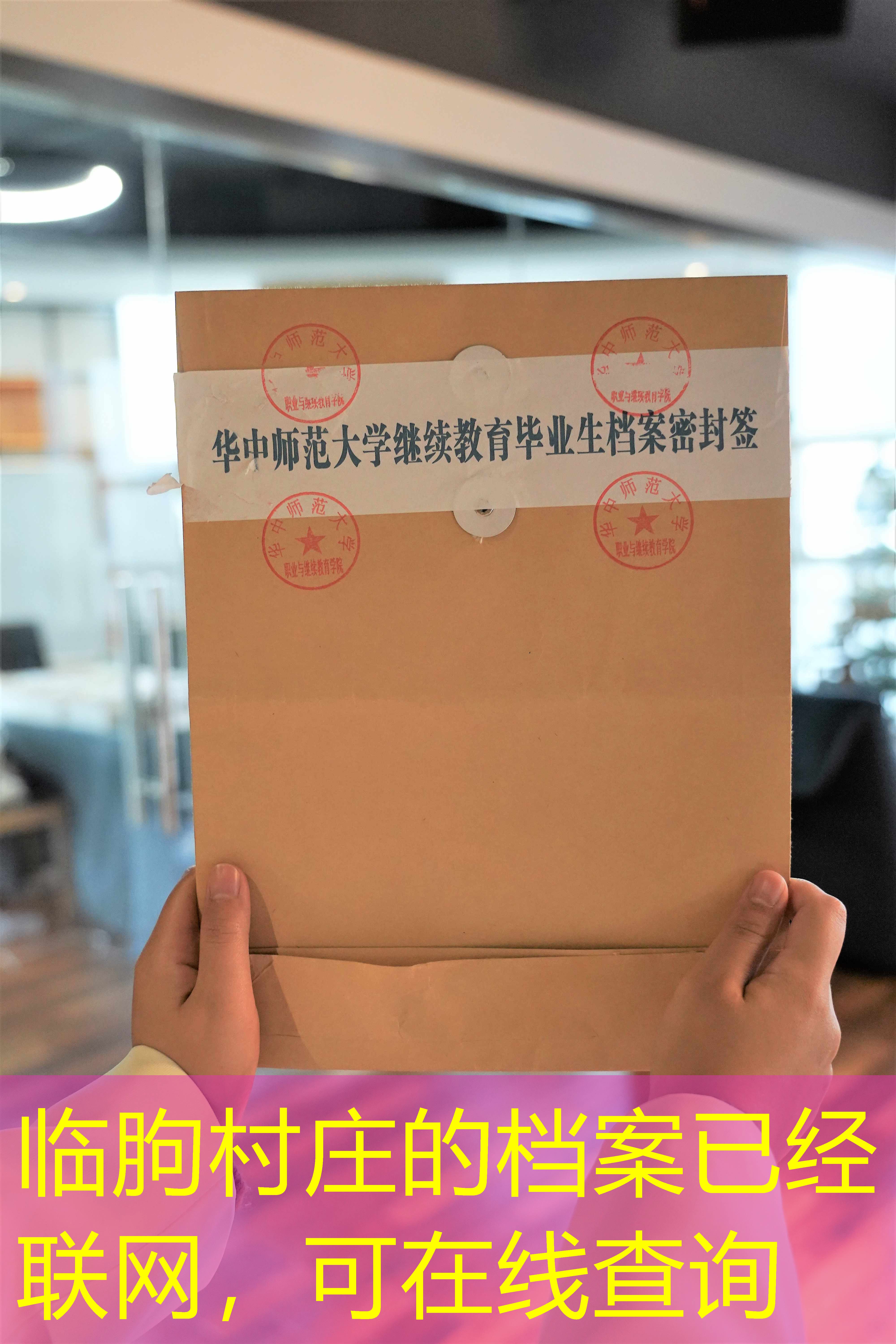 档案查询
