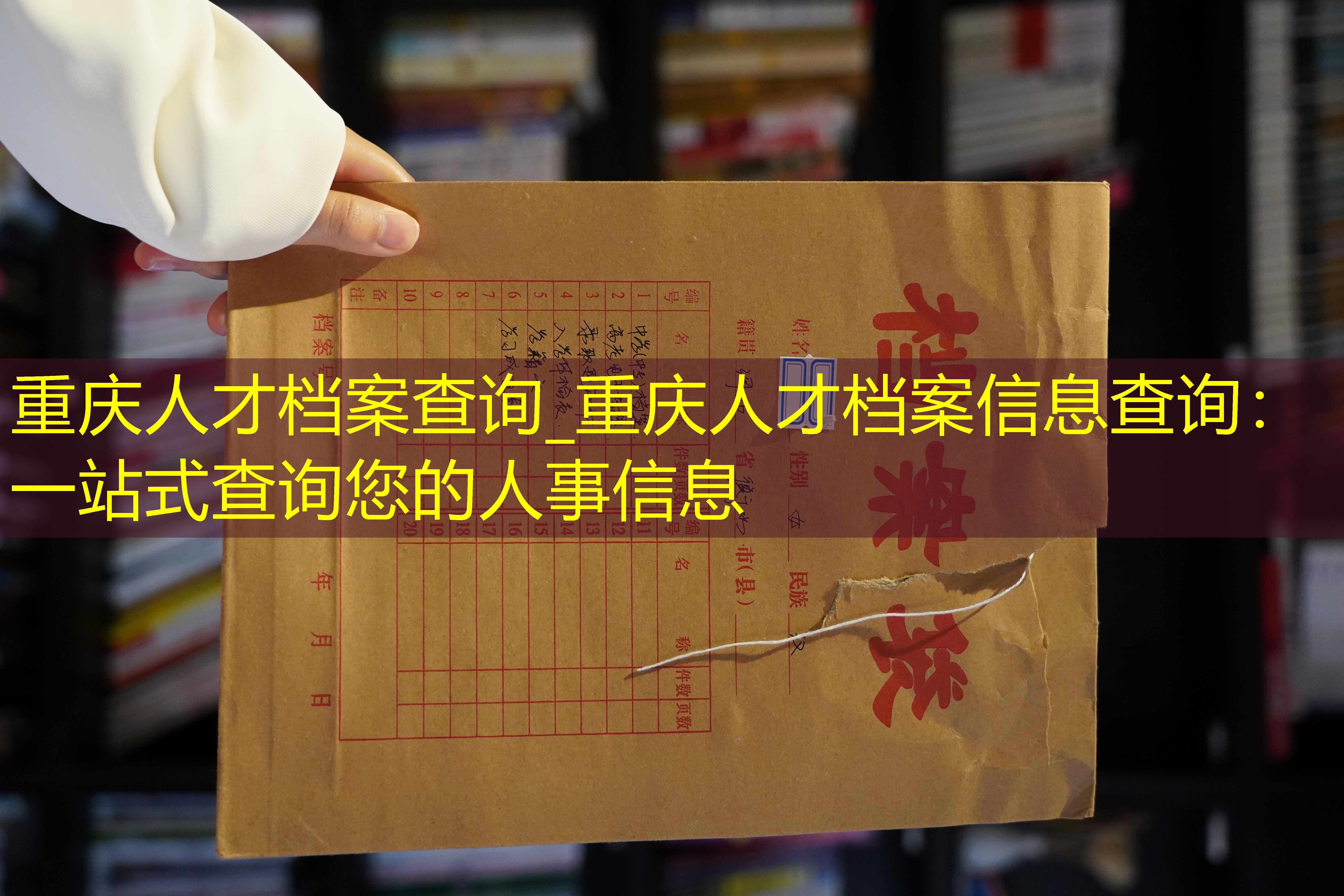 档案查询