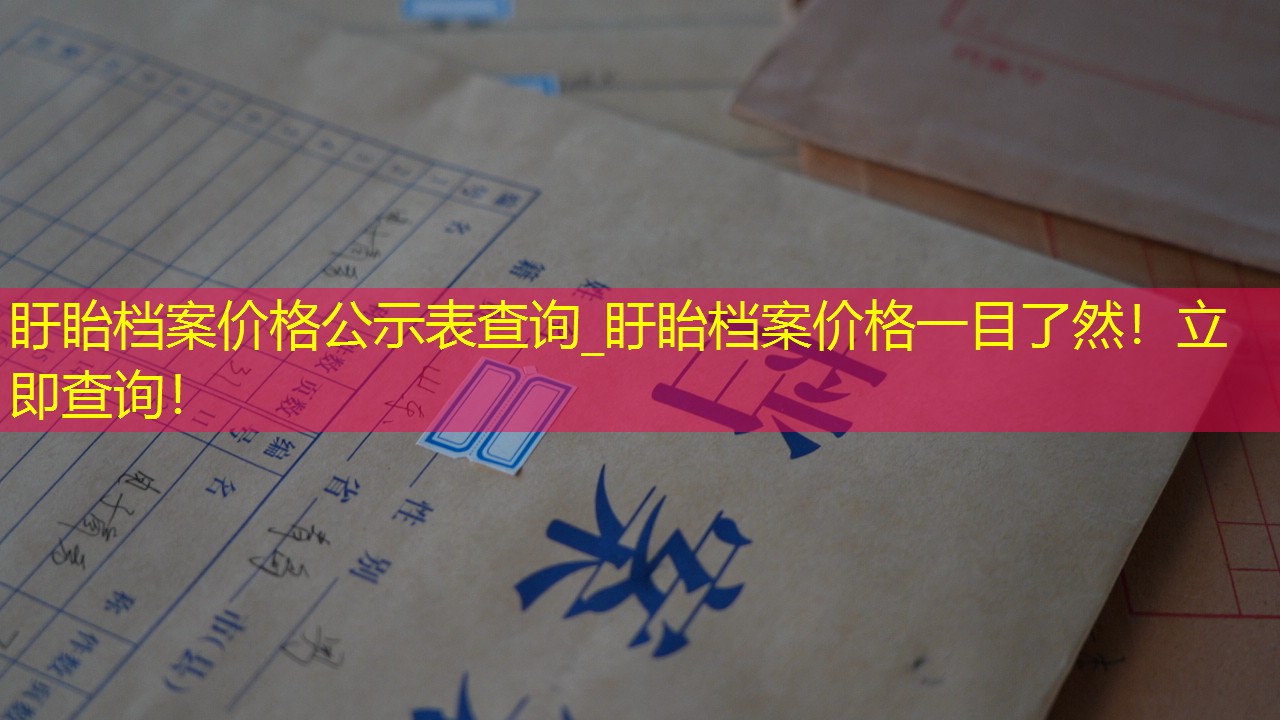 档案查询