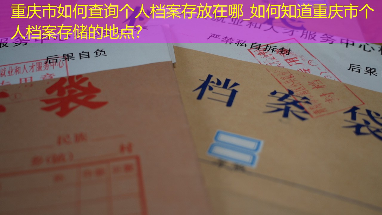 档案查询