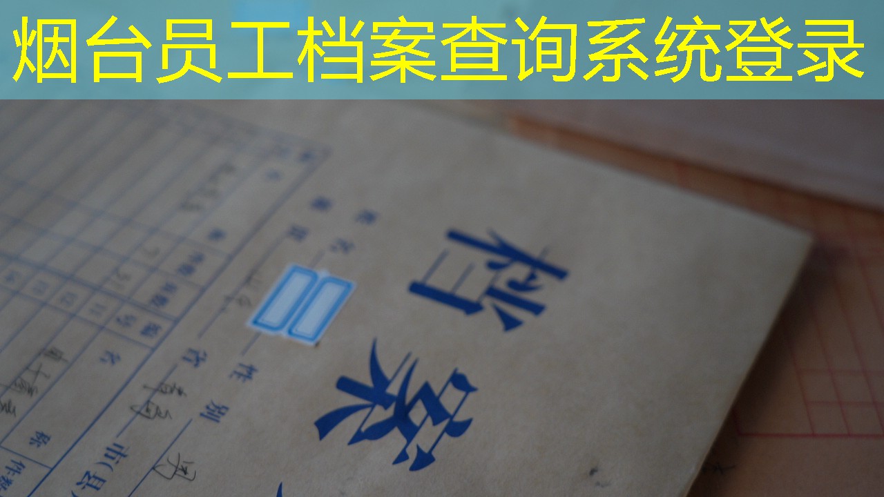档案查询