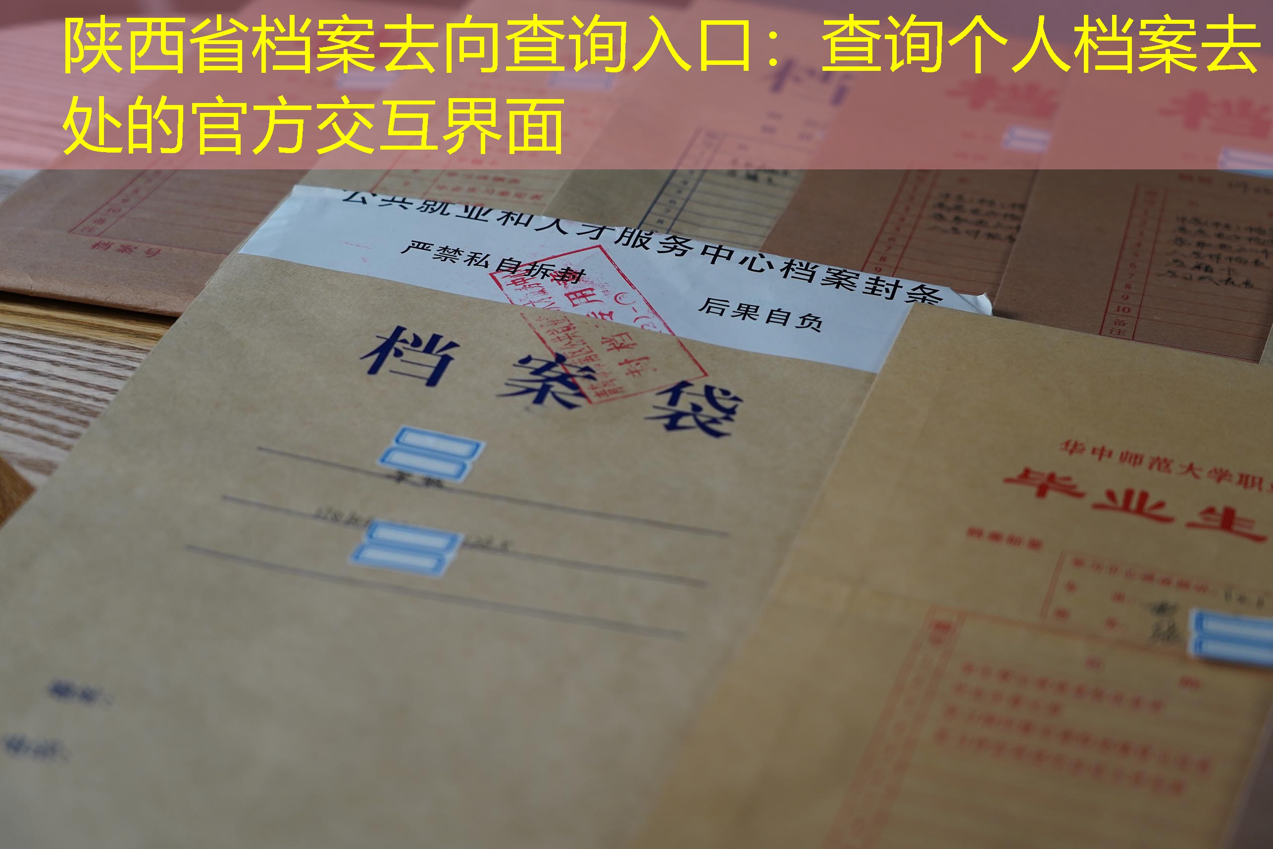 档案查询