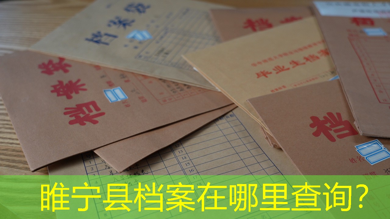 档案查询