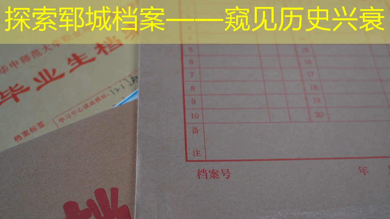 档案查询