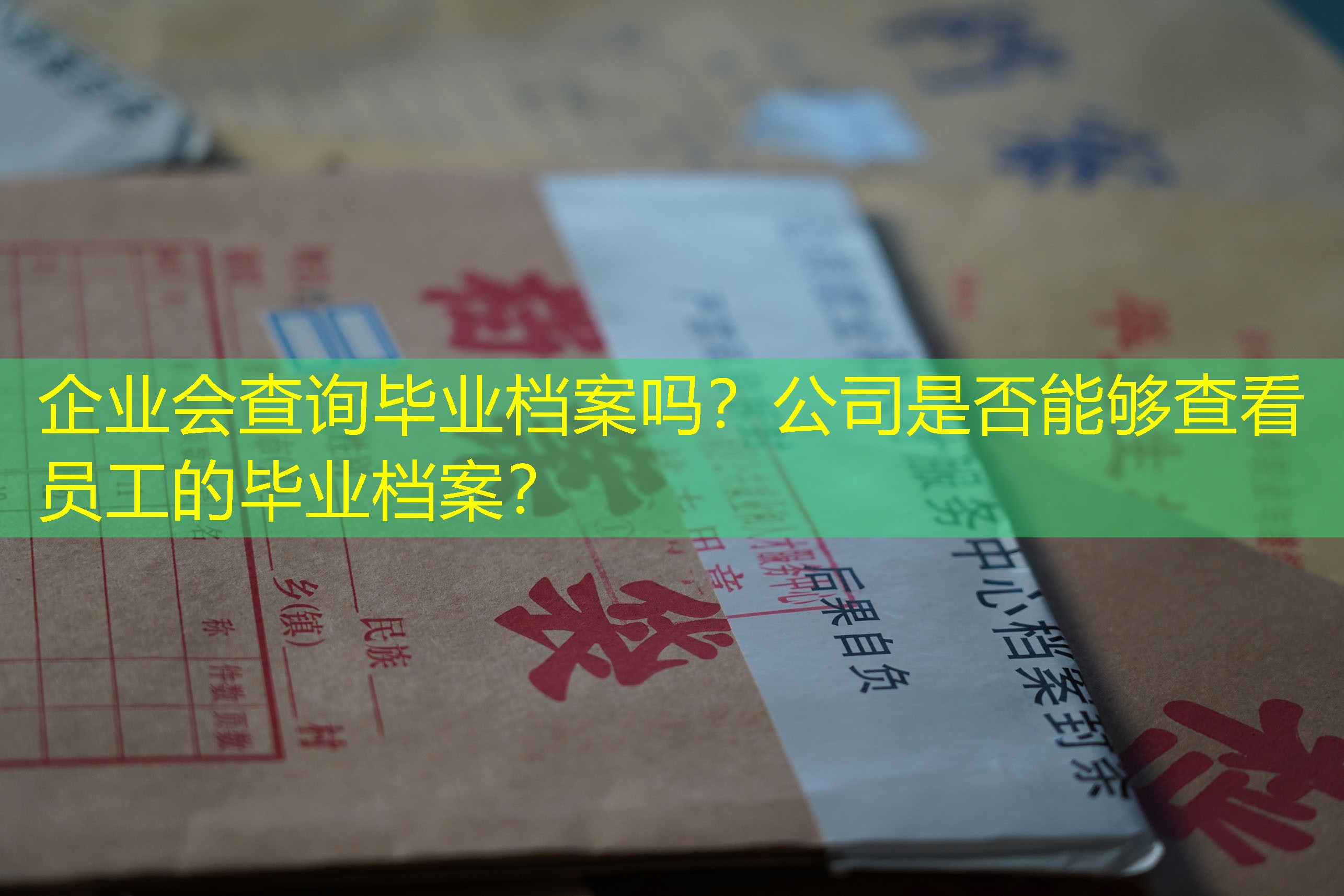 档案查询