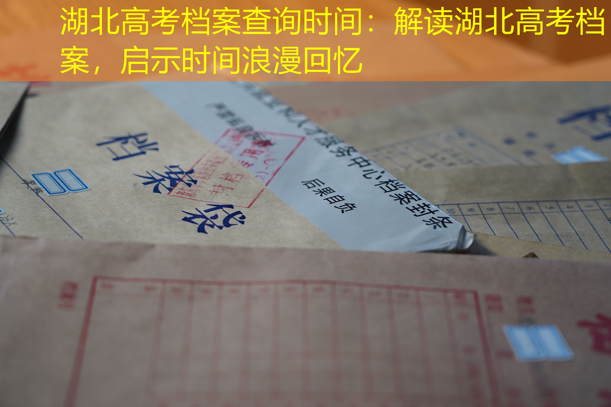 档案查询