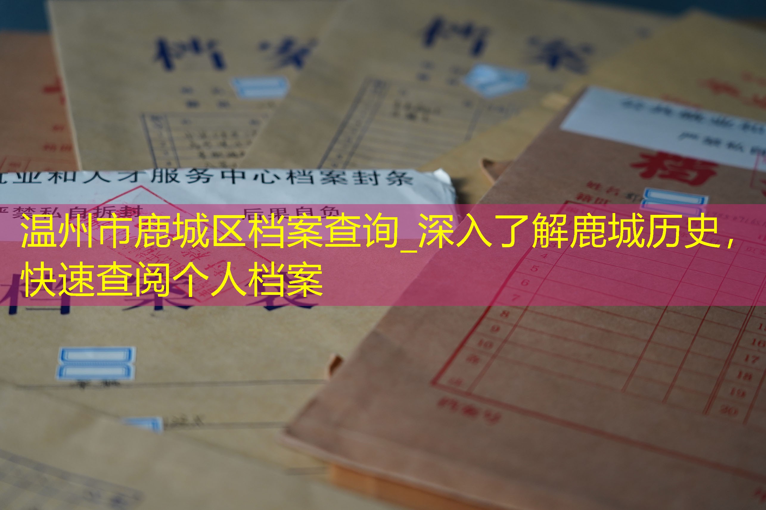 档案查询