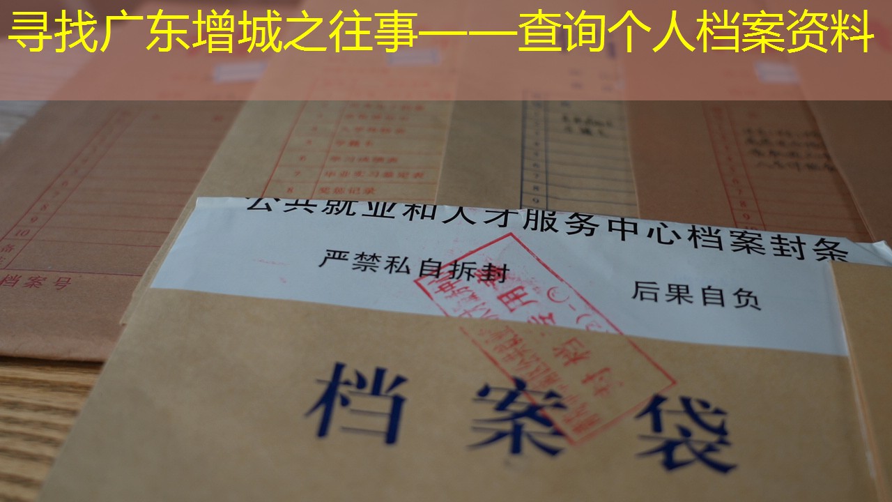 档案查询
