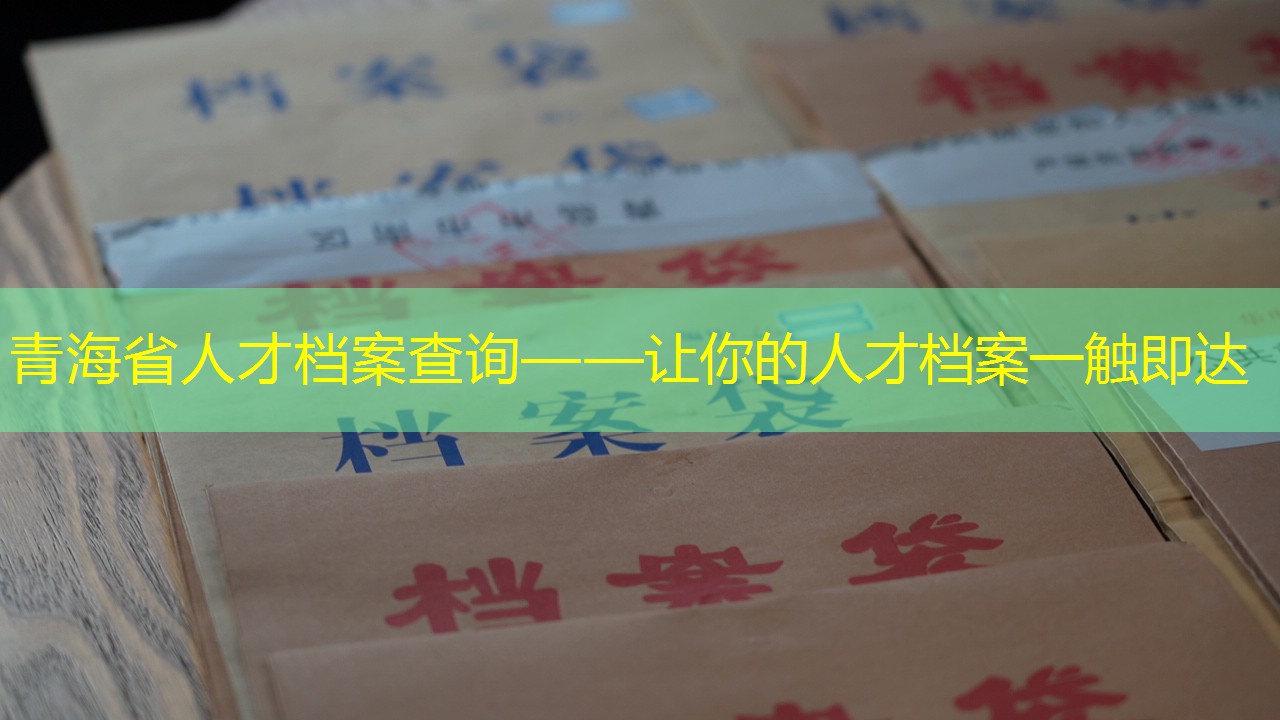 档案查询