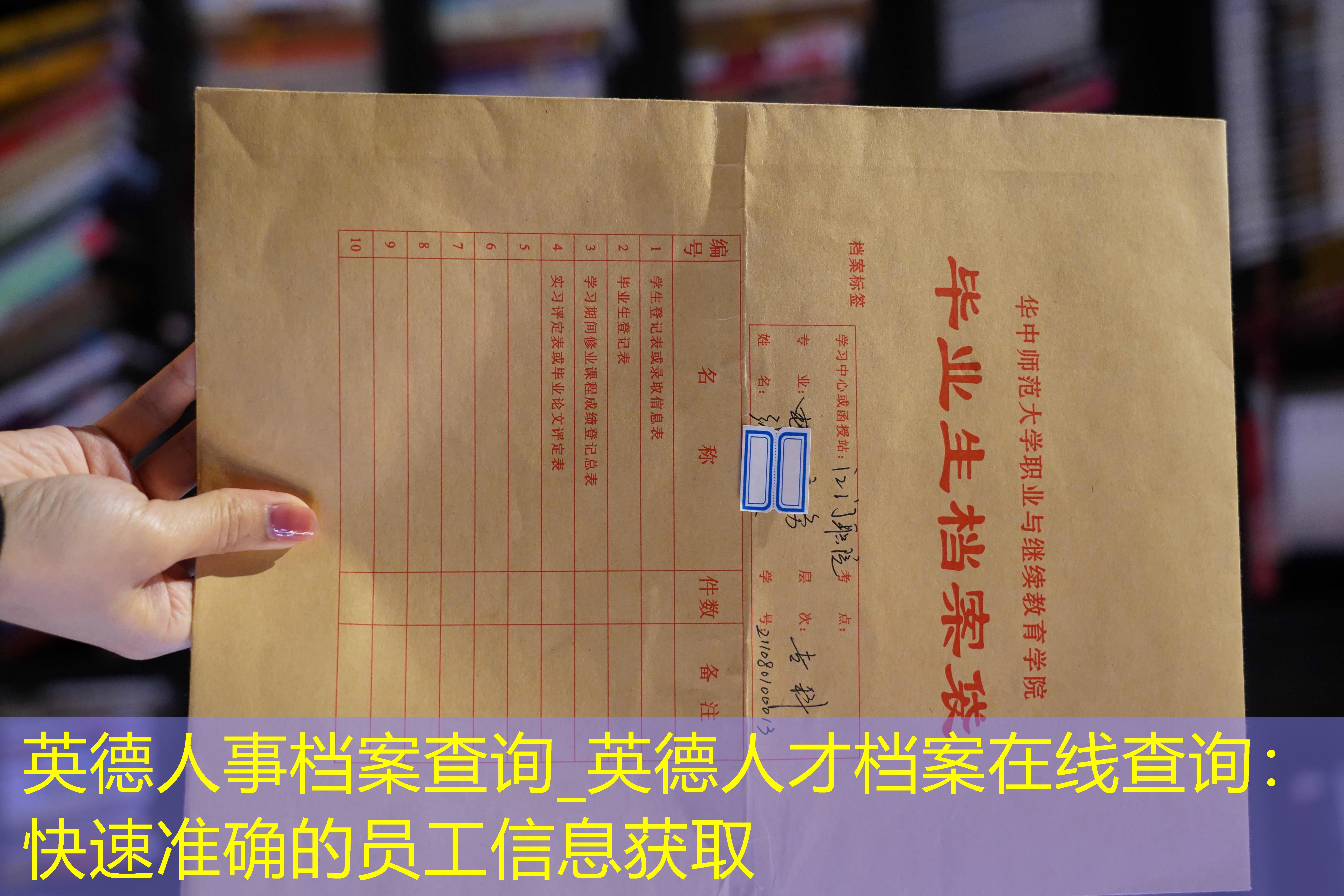 档案查询