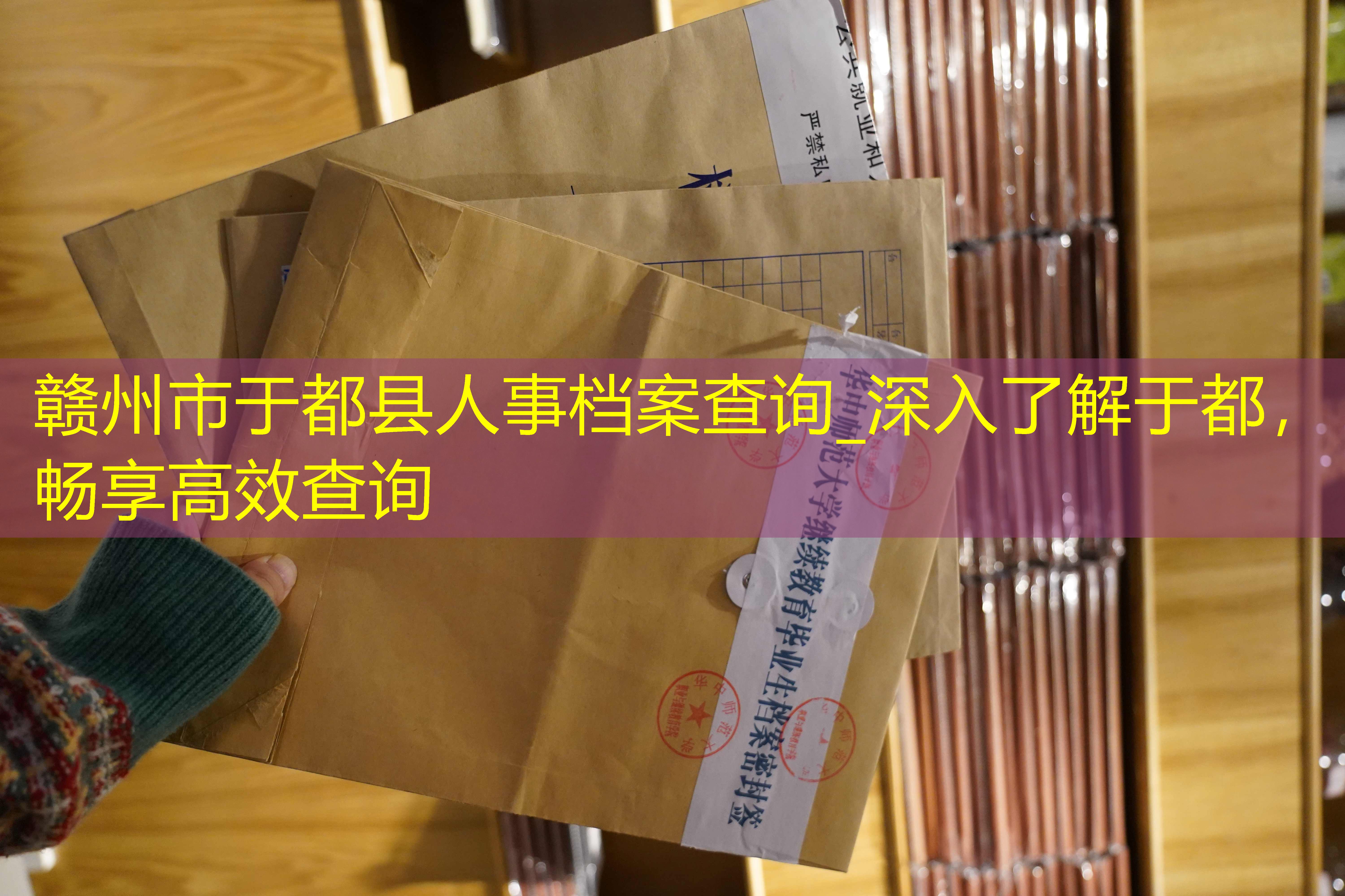 档案查询