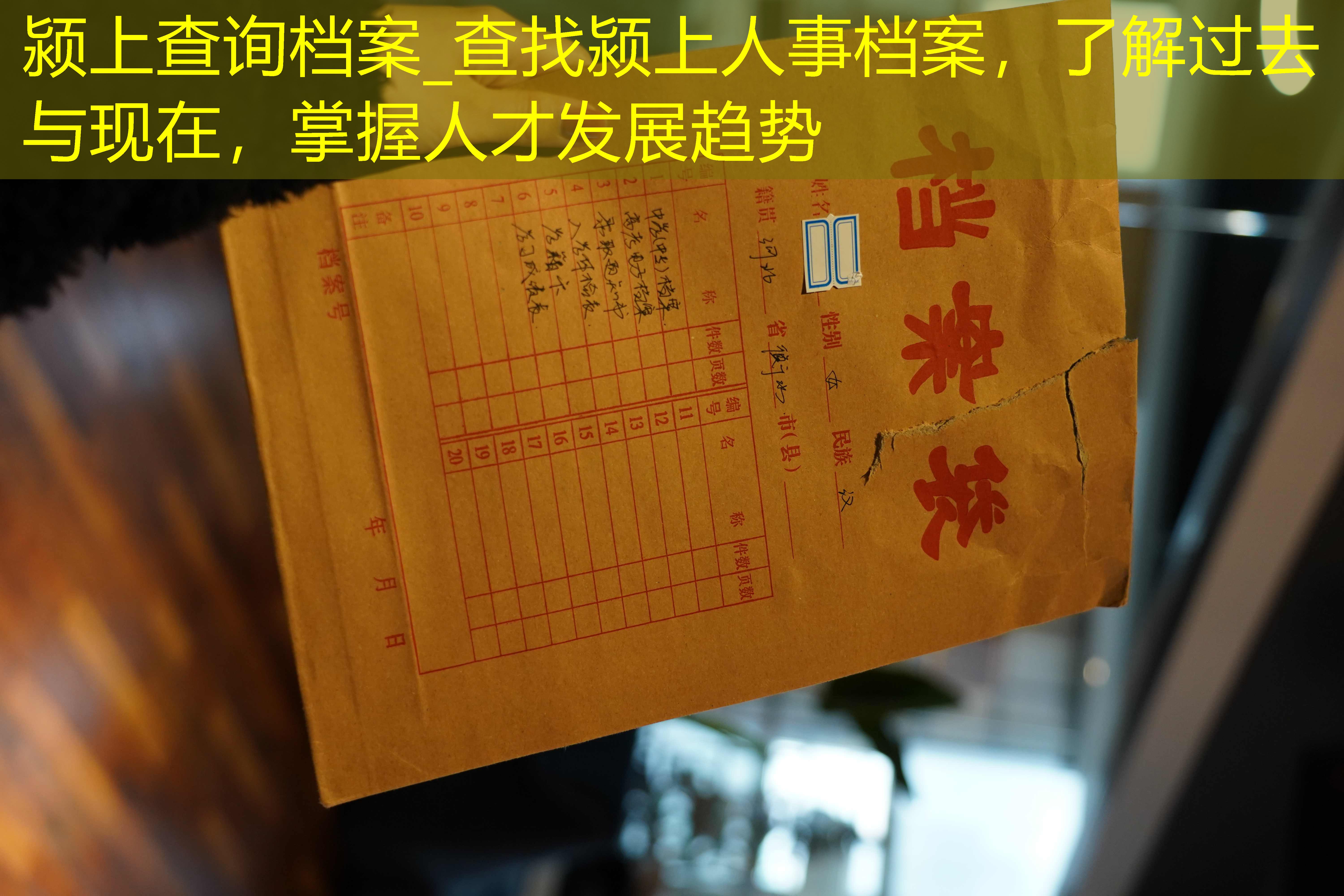 档案查询
