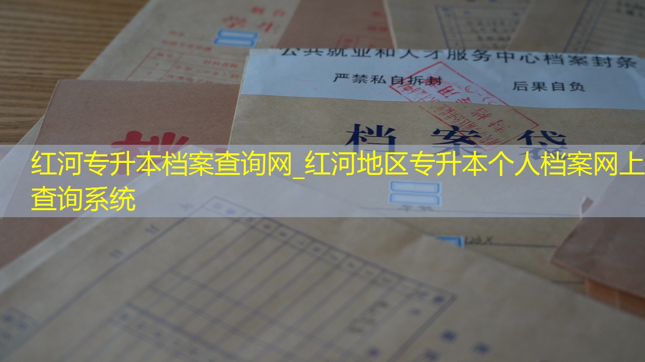 档案查询