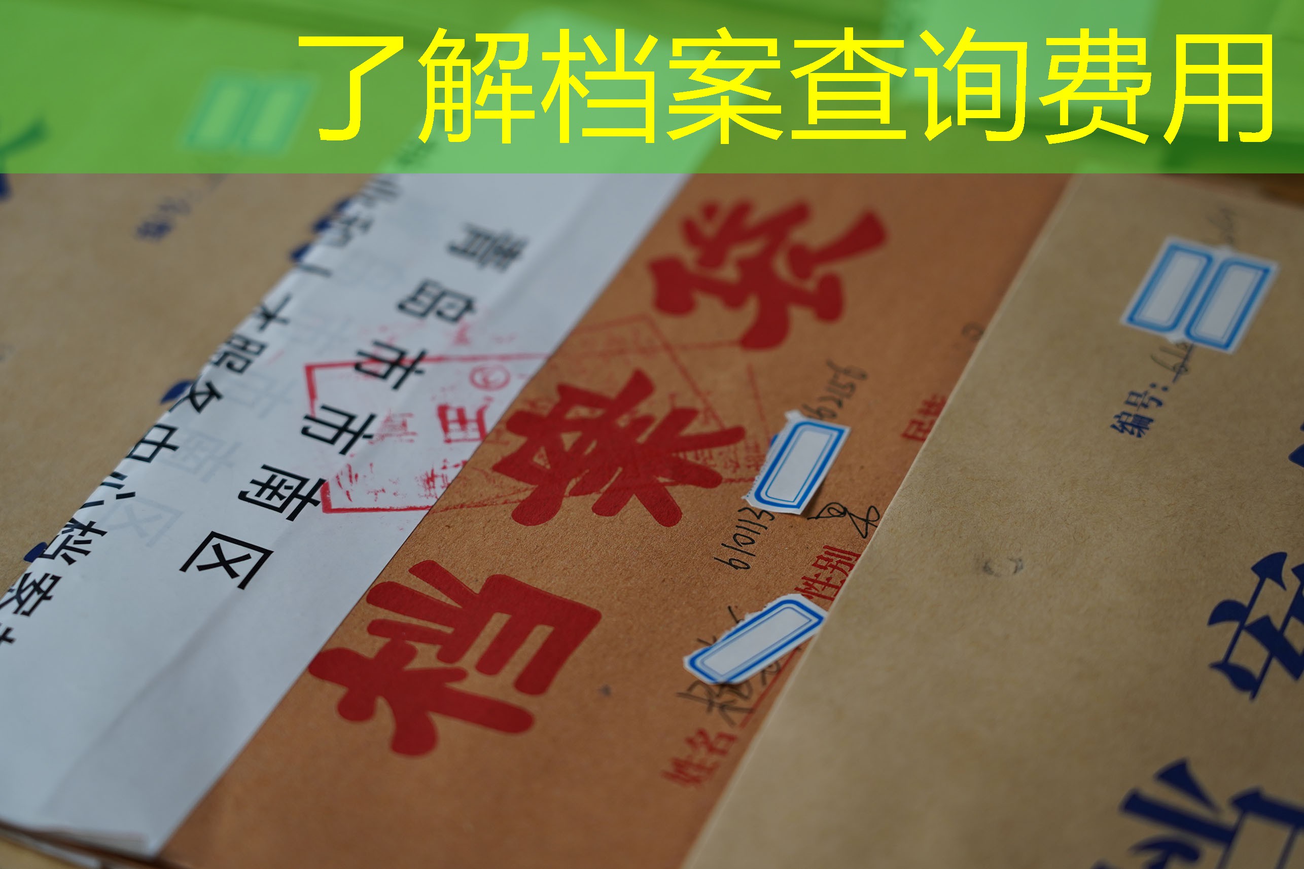 档案查询