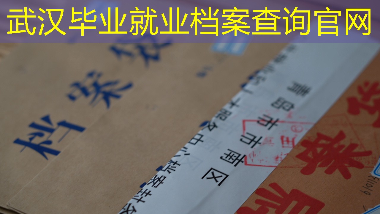 档案查询