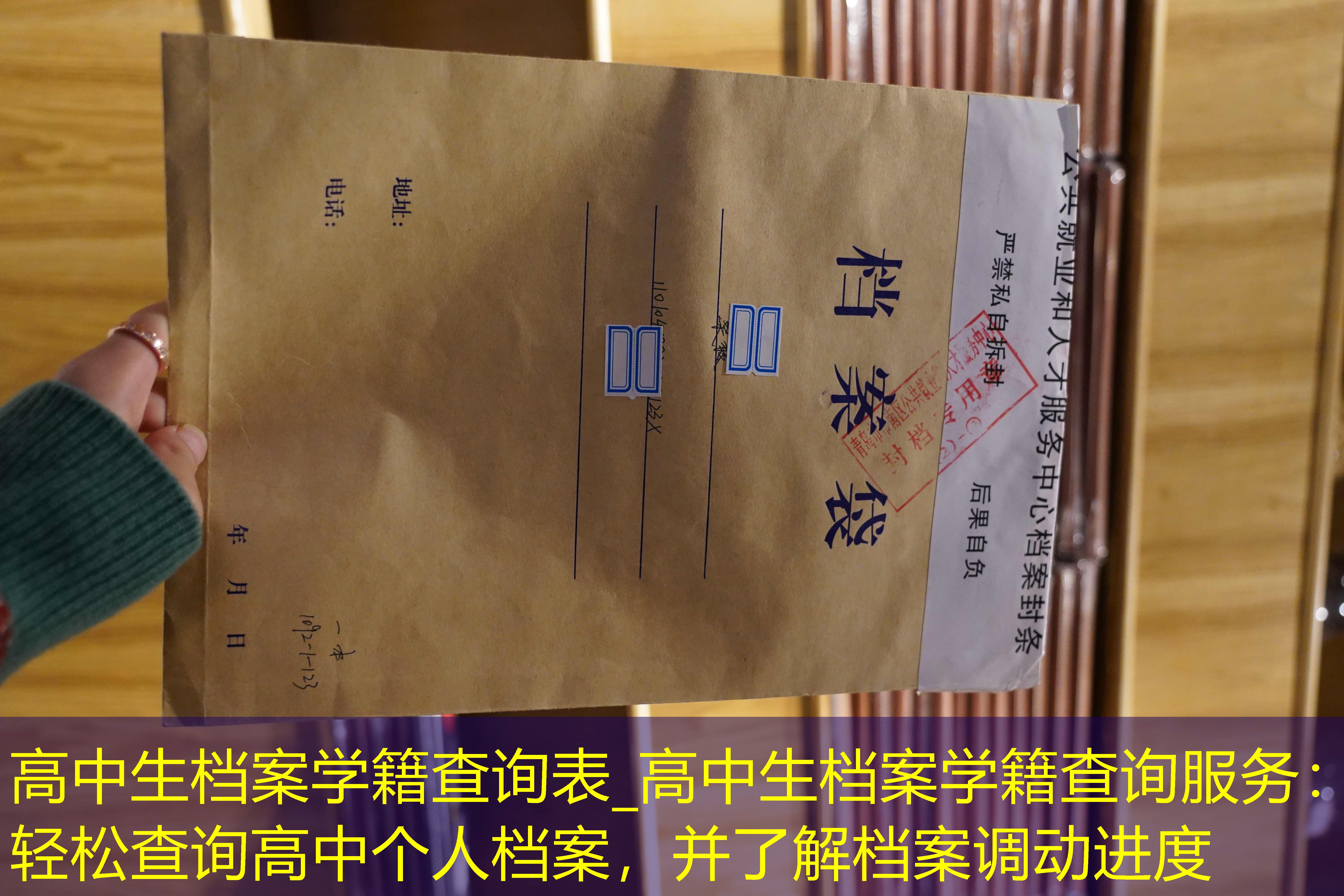 档案查询