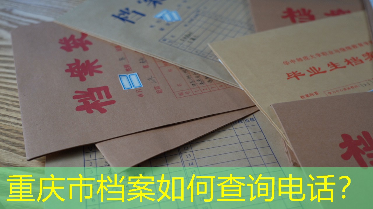 档案查询