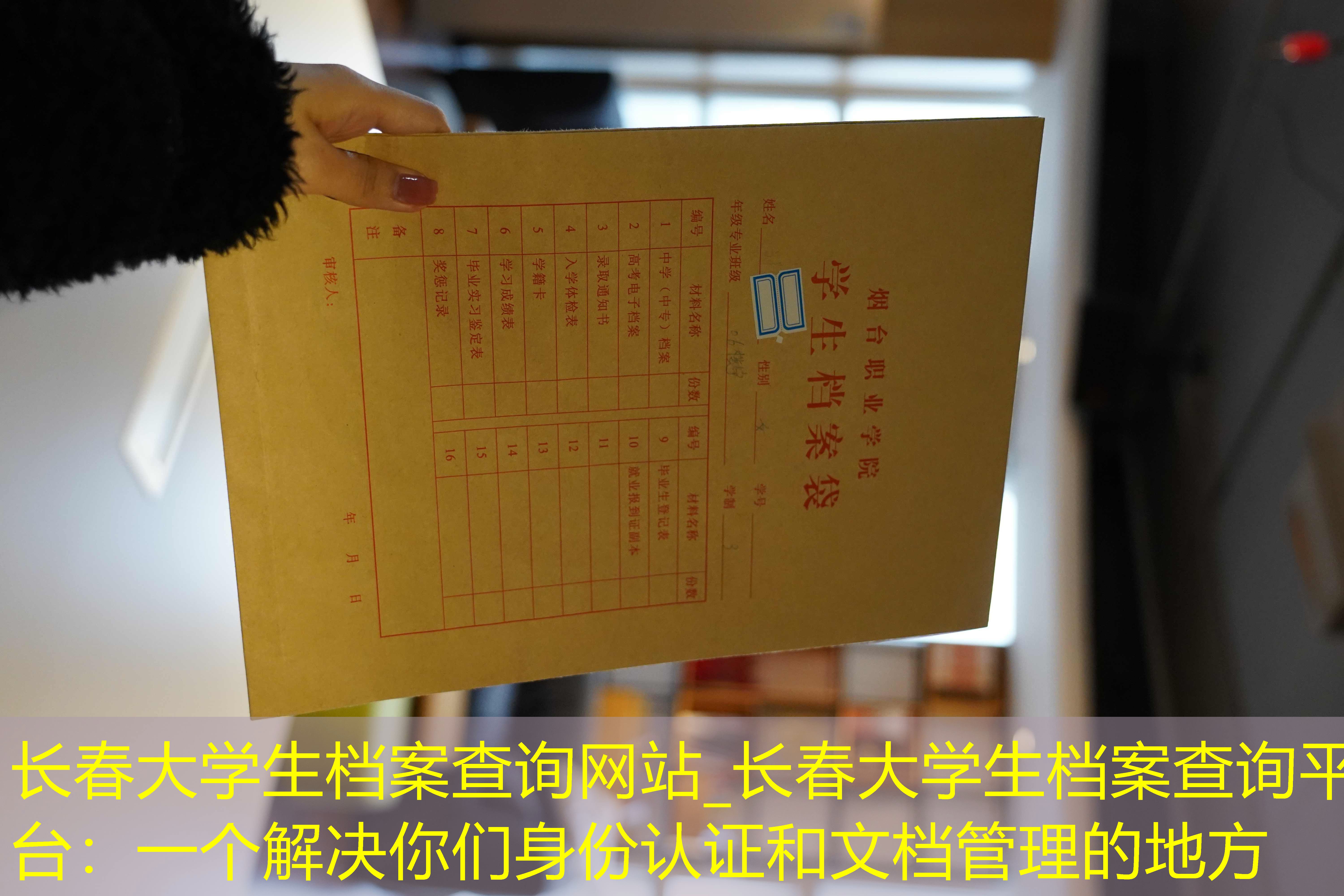 档案查询