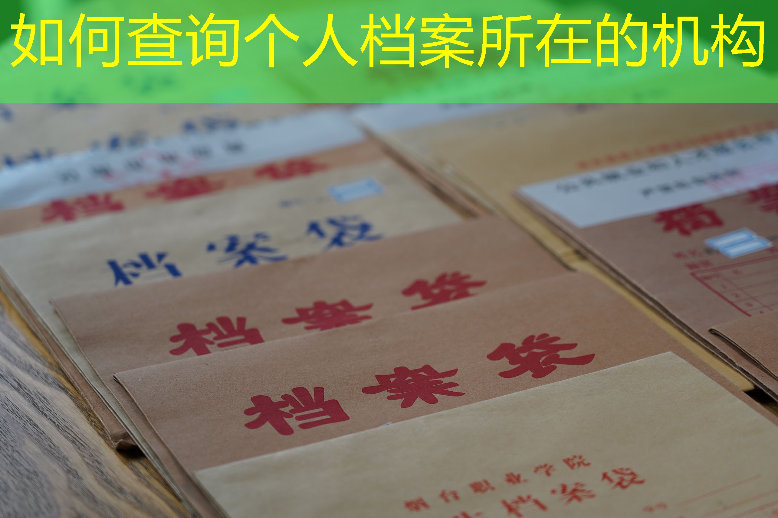 档案查询